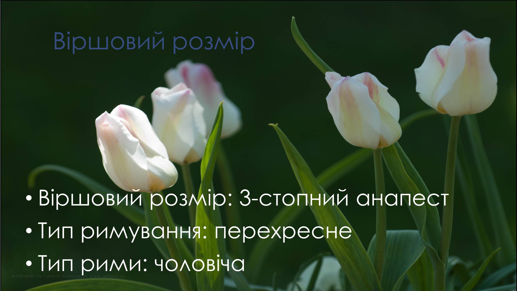 Презентація на тему «Леся Українка» (варіант 29) - Слайд #11 Презентація на тему «Леся Українка» (варіант 29) - Слайд #11