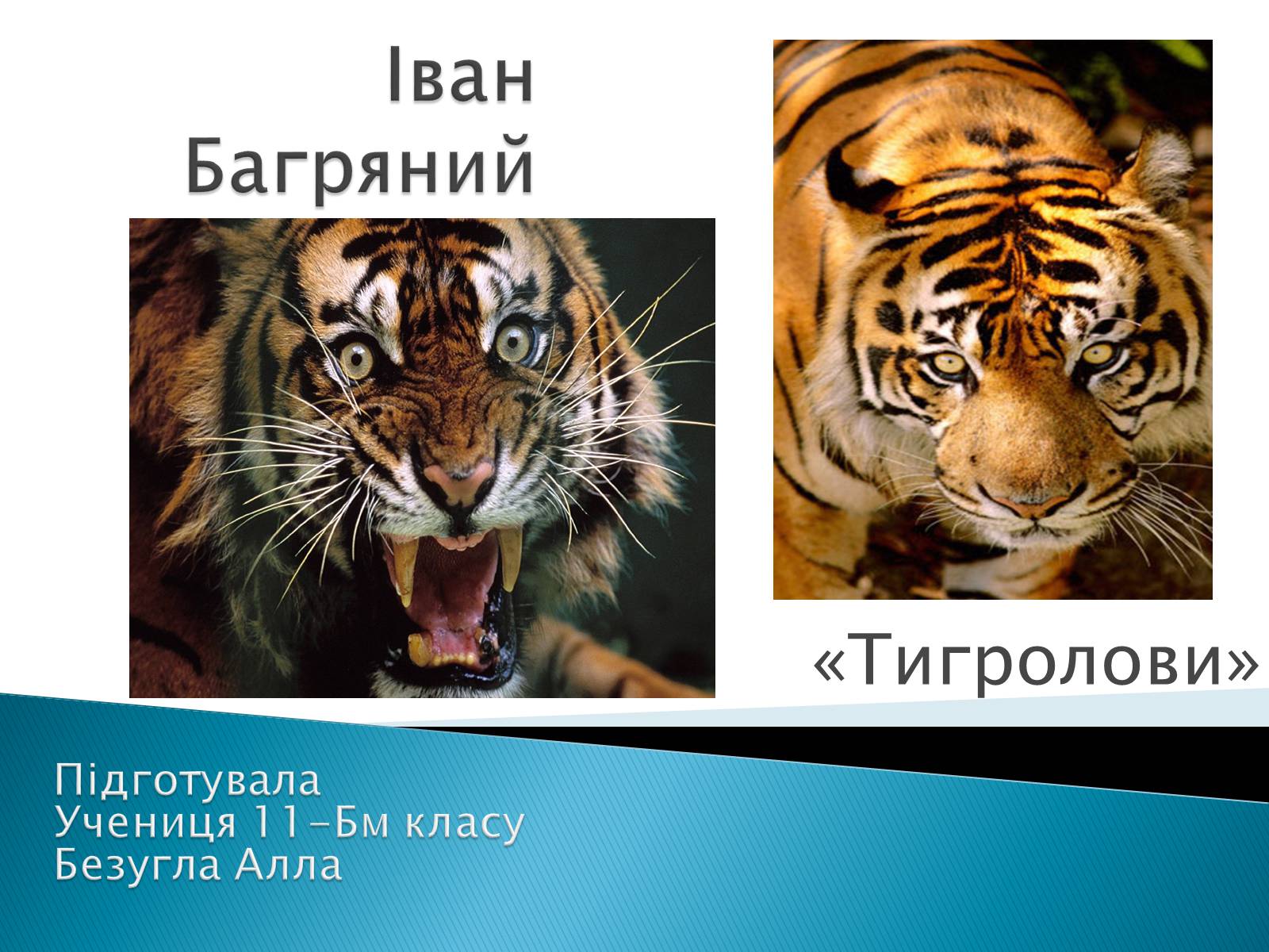 Презентація на тему «І.Багряний. «Тигролови»» - Слайд #2 Презентація на тему «І.Багряний. «Тигролови»» - Слайд #2