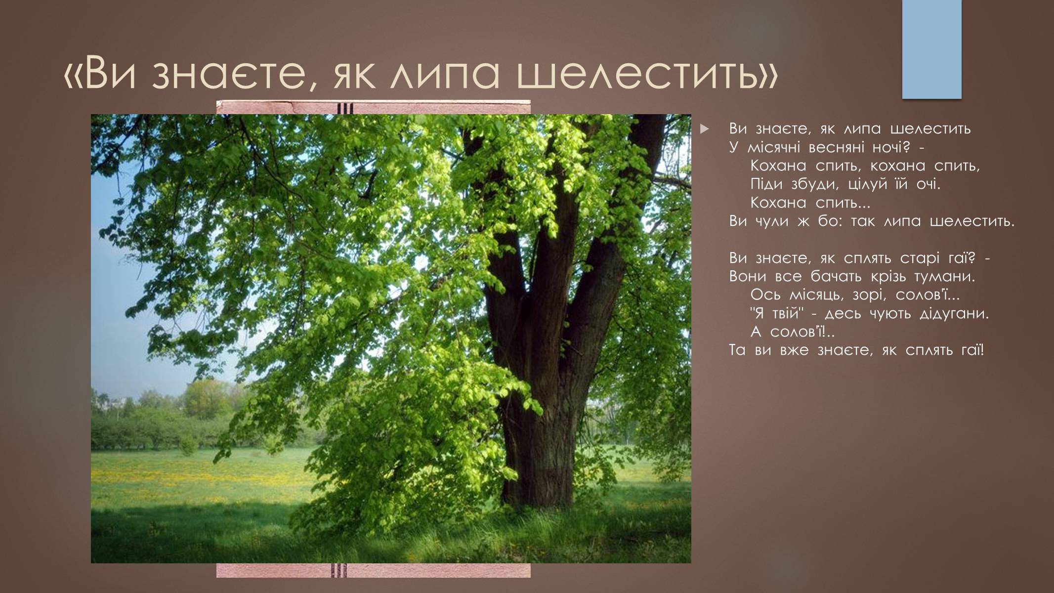Презентація на тему «Павло Тичина» (варіант 7) - Слайд #7 Презентація на тему «Павло Тичина» (варіант 7) - Слайд #7