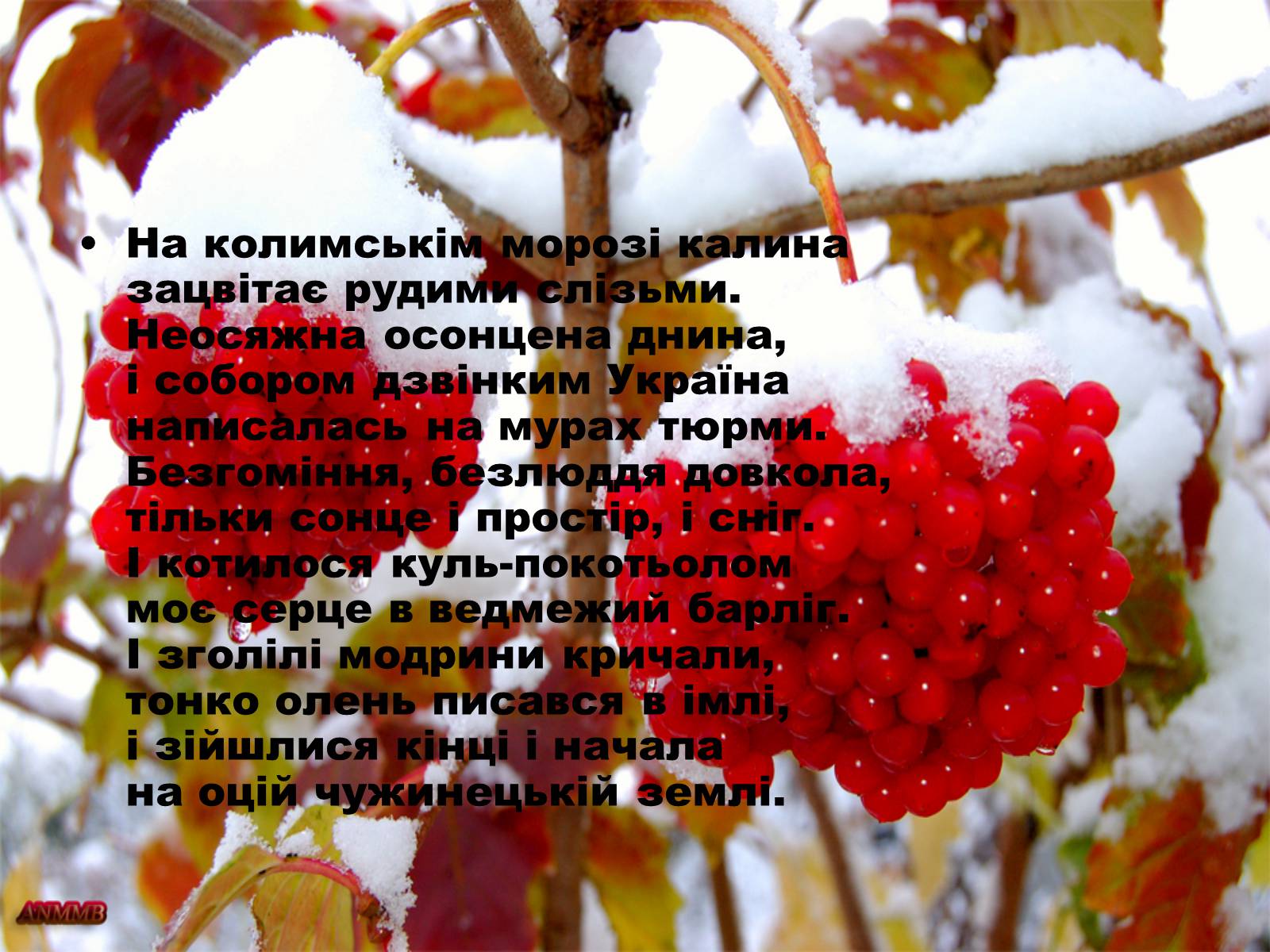 Презентація на тему «Стус Василь Семенович» (варіант 1) - Слайд #14 Презентація на тему «Стус Василь Семенович» (варіант 1) - Слайд #14