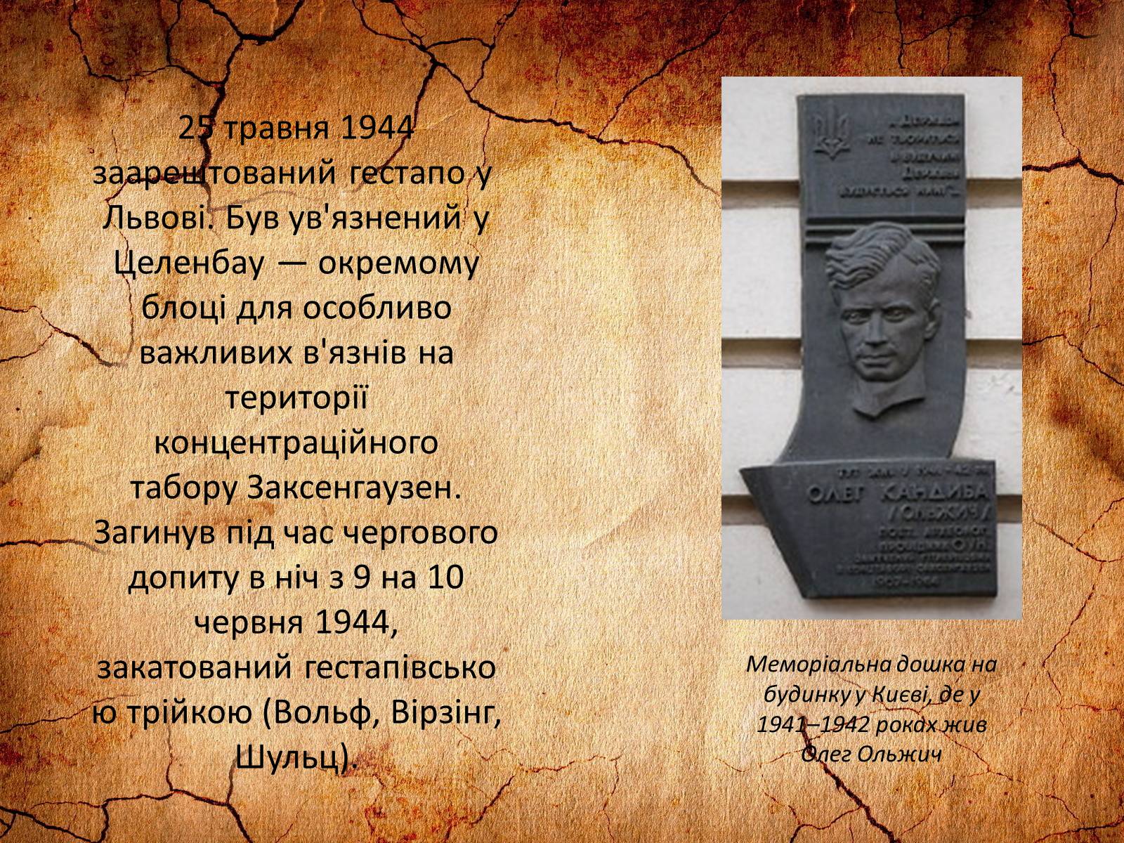 Презентація на тему «Олег Ольжич» - Слайд #10 Презентація на тему «Олег Ольжич» - Слайд #10