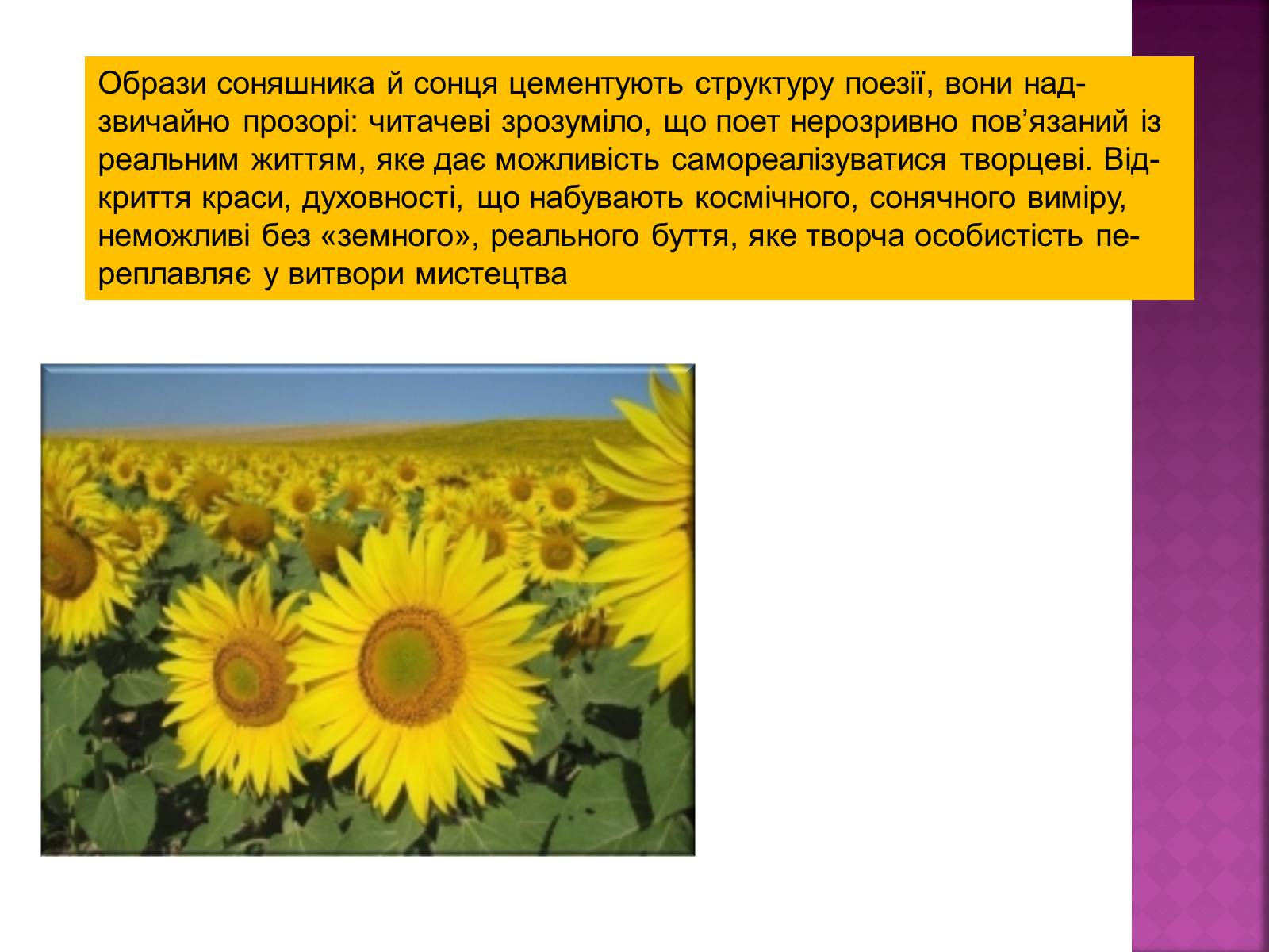 Презентація на тему «Балада про соняшник» (варіант 2) - Слайд #6 Презентація на тему «Балада про соняшник» (варіант 2) - Слайд #6
