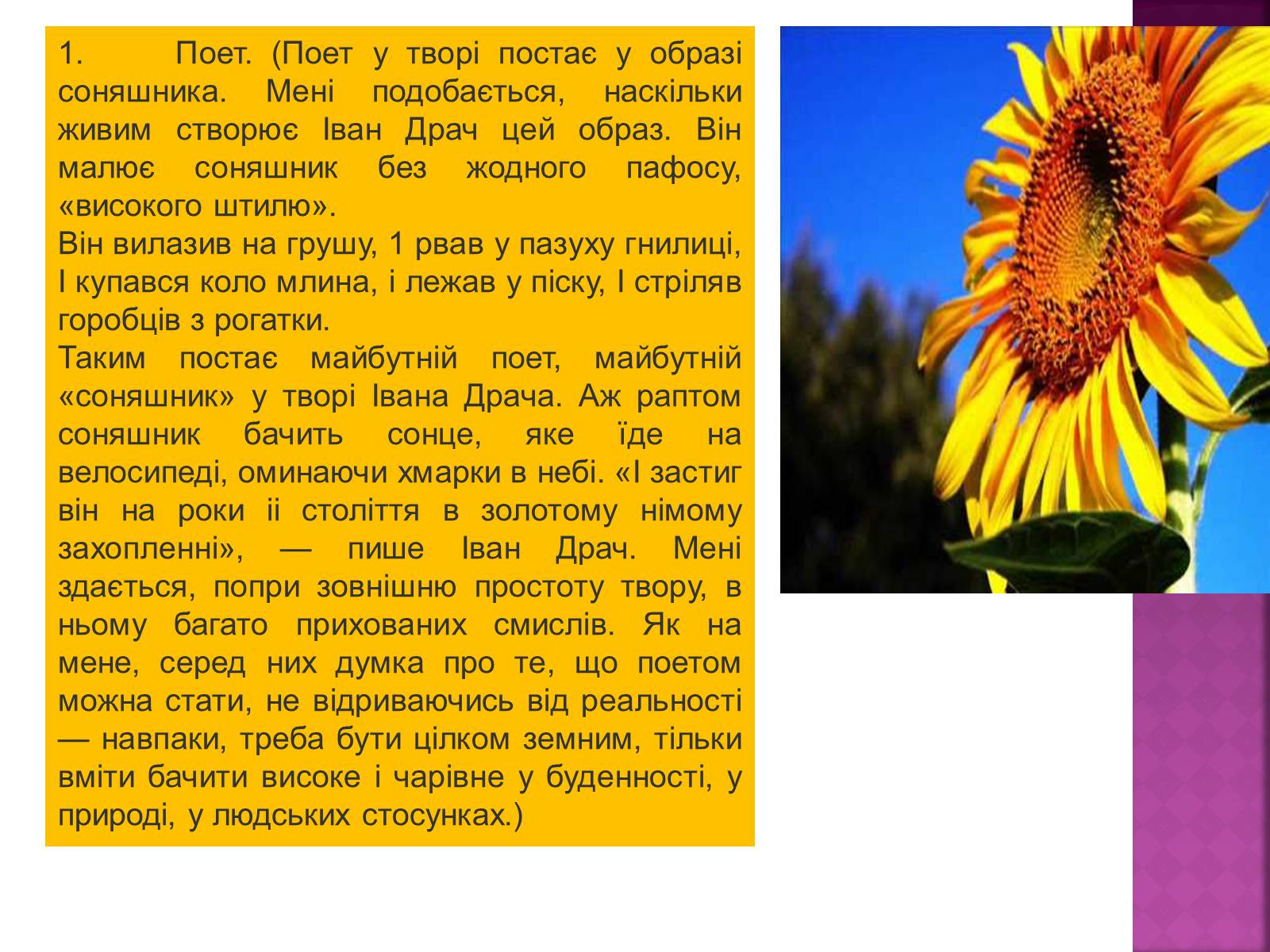 Презентація на тему «Балада про соняшник» (варіант 2) - Слайд #7 Презентація на тему «Балада про соняшник» (варіант 2) - Слайд #7
