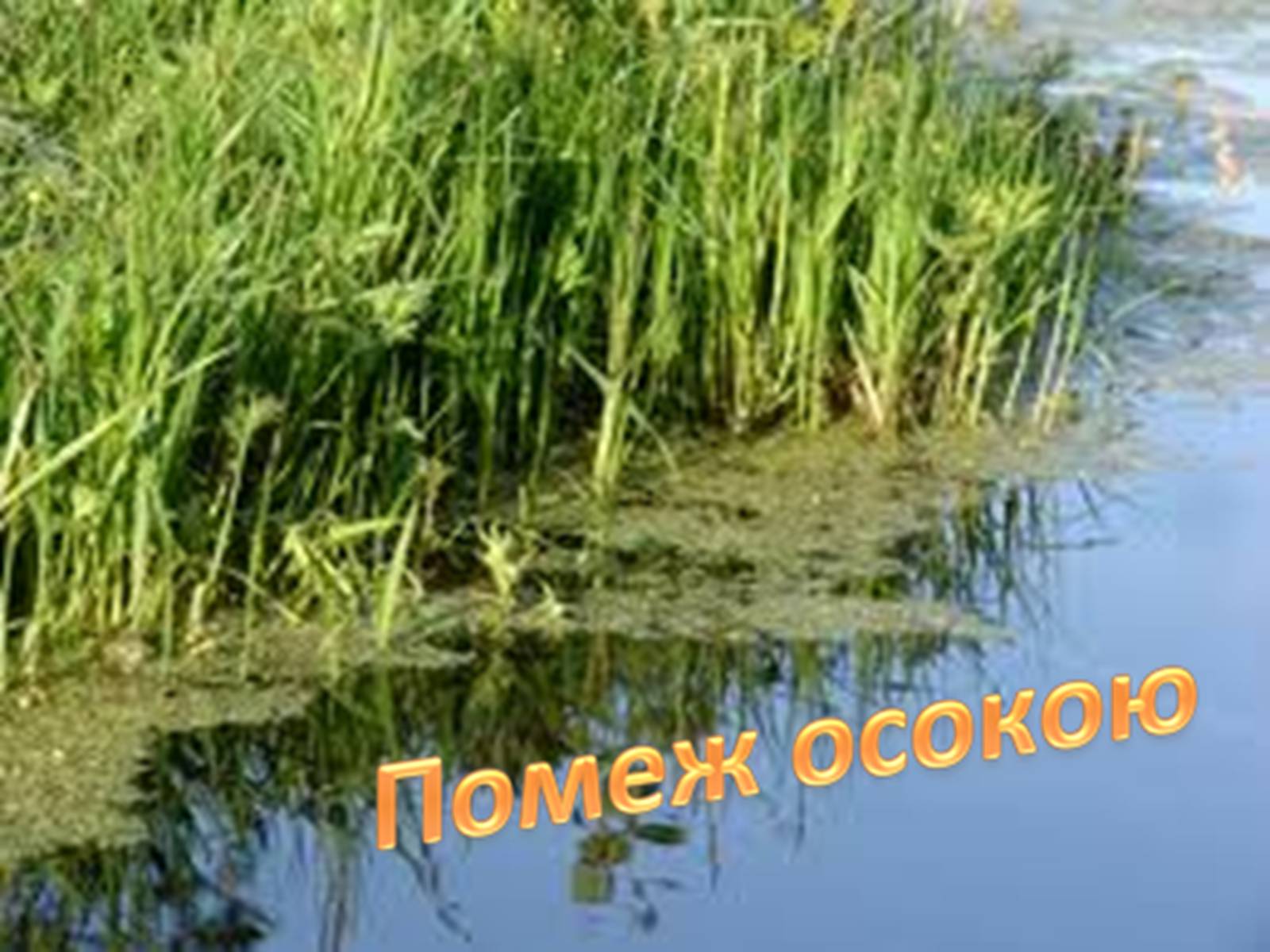 Презентація на тему «Тече вода...» - Слайд #18 Презентація на тему «Тече вода...» - Слайд #18