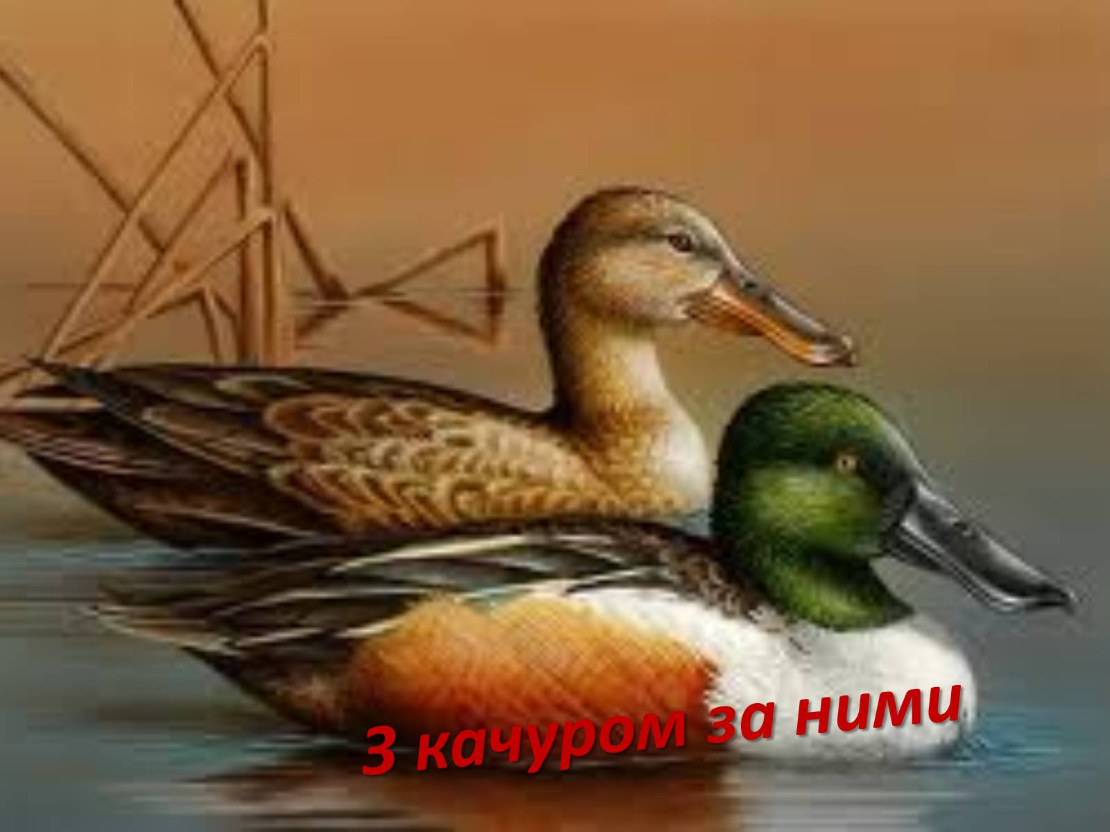 Презентація на тему «Тече вода...» - Слайд #20 Презентація на тему «Тече вода...» - Слайд #20