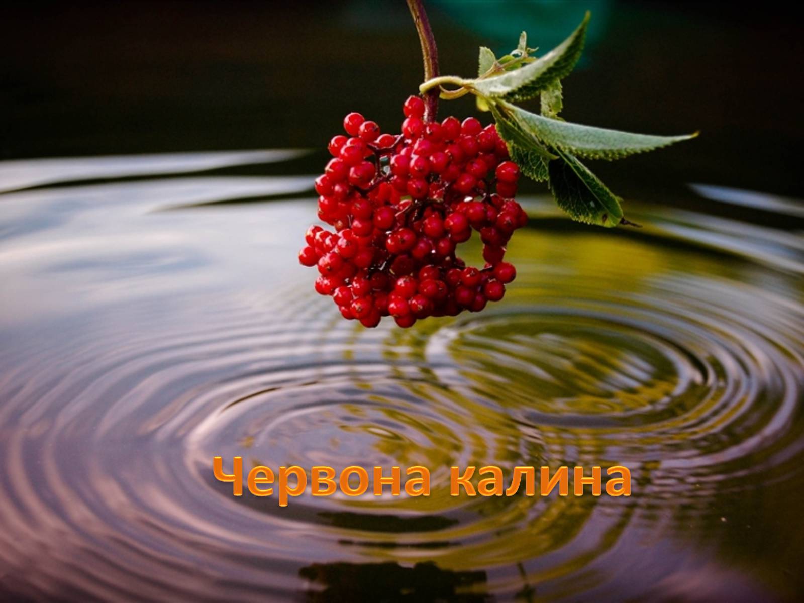 Презентація на тему «Тече вода...» - Слайд #5 Презентація на тему «Тече вода...» - Слайд #5