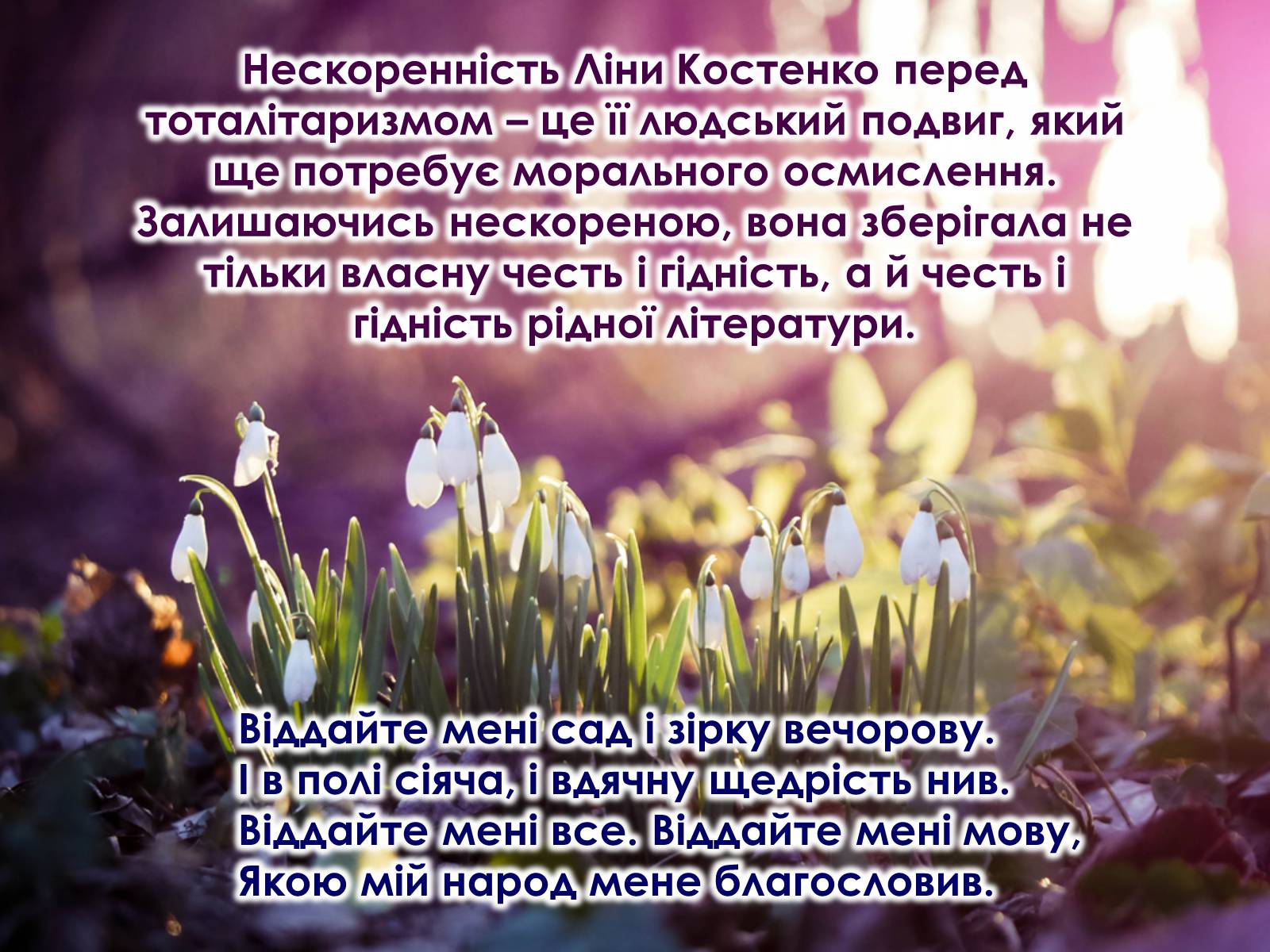 Презентація на тему «Ліна Костенко» (варіант 16) - Слайд #6 Презентація на тему «Ліна Костенко» (варіант 16) - Слайд #6