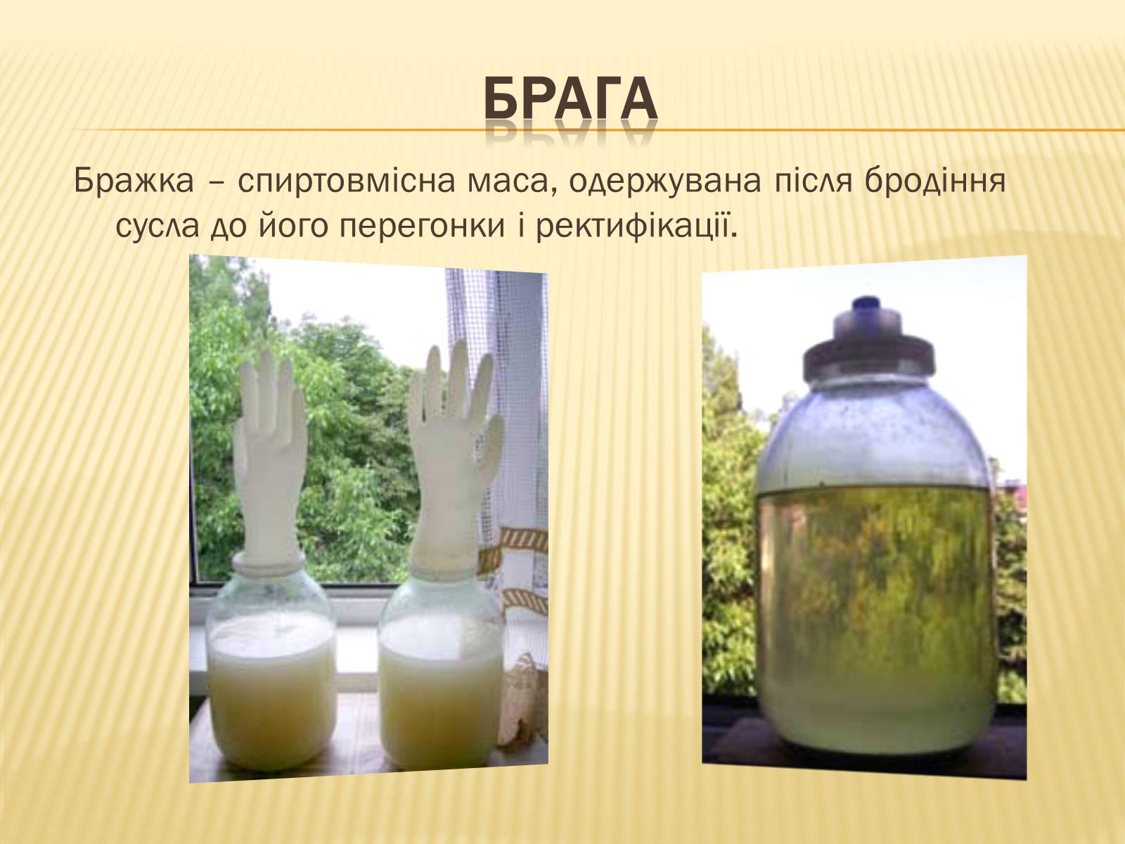 Презентація на тему «Їжа в творі енеїда» - Слайд #3 Презентація на тему «Їжа в творі енеїда» - Слайд #3