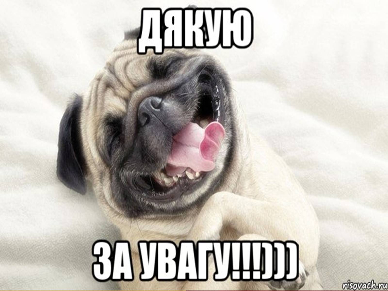 Презентація на тему «Мойсей» (варіант 2) - Слайд #12 Презентація на тему «Мойсей» (варіант 2) - Слайд #12