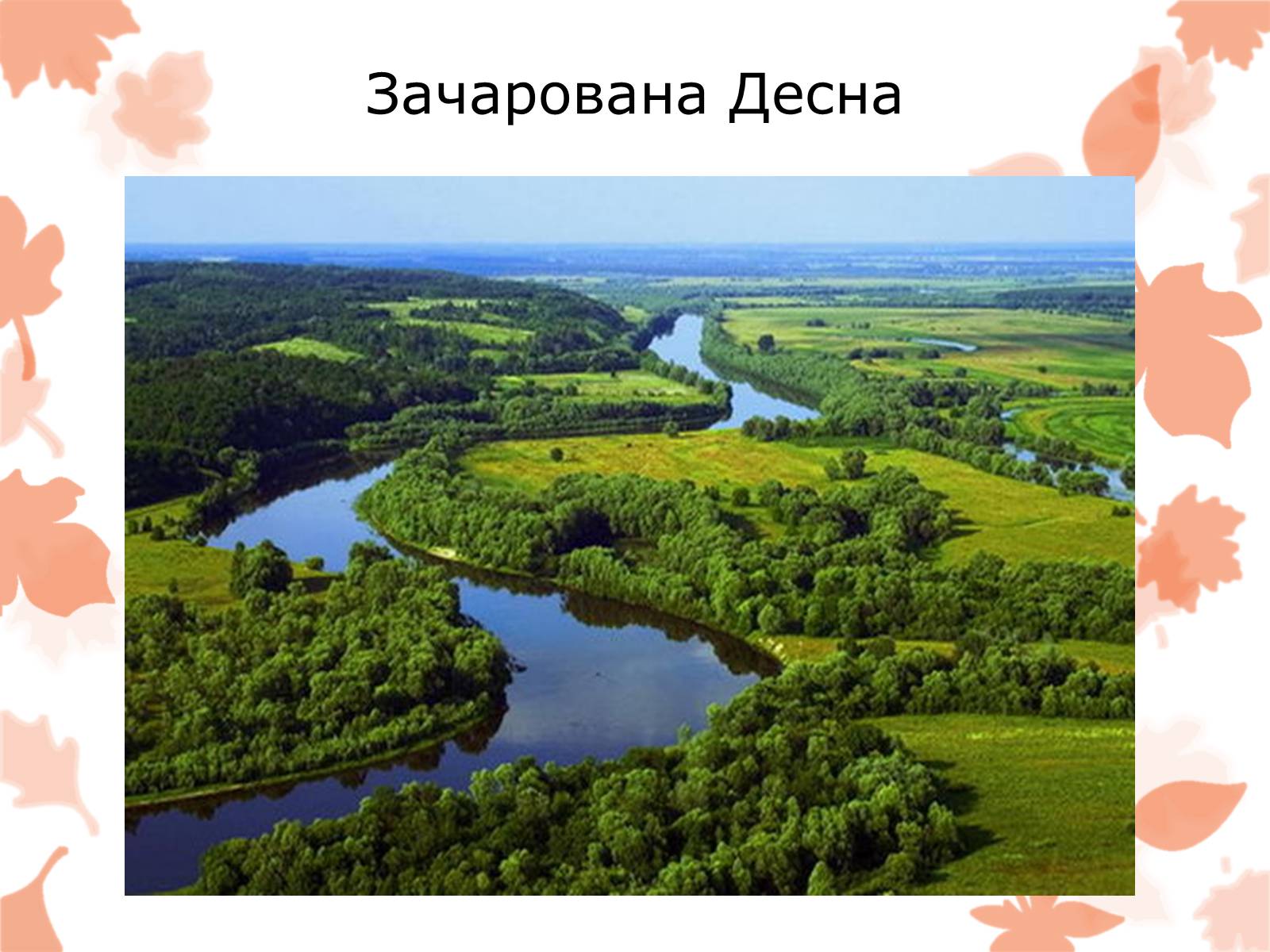 Презентація на тему «Життя та творчість Довженка О.П.» - Слайд #16 Презентація на тему «Життя та творчість Довженка О.П.» - Слайд #16