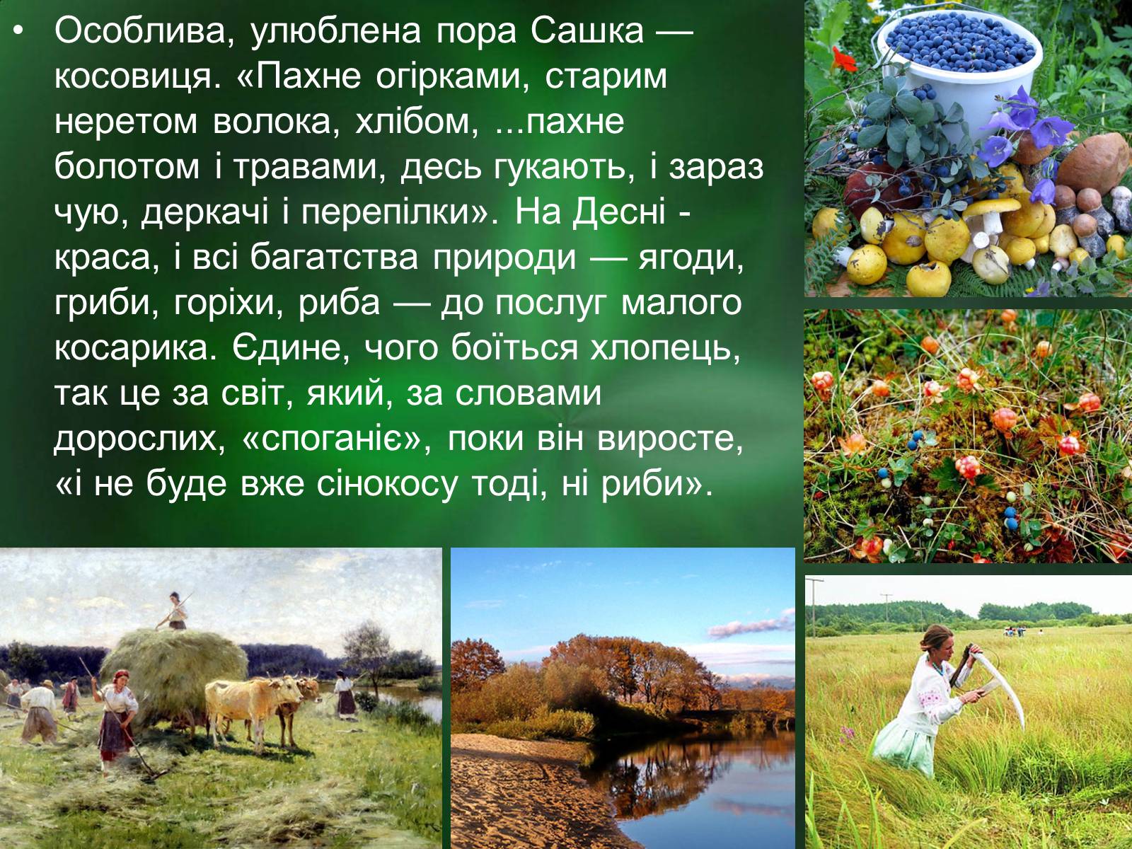 Презентація на тему «Роль природи в творі Зачарована десна» - Слайд #10 Презентація на тему «Роль природи в творі Зачарована десна» - Слайд #10