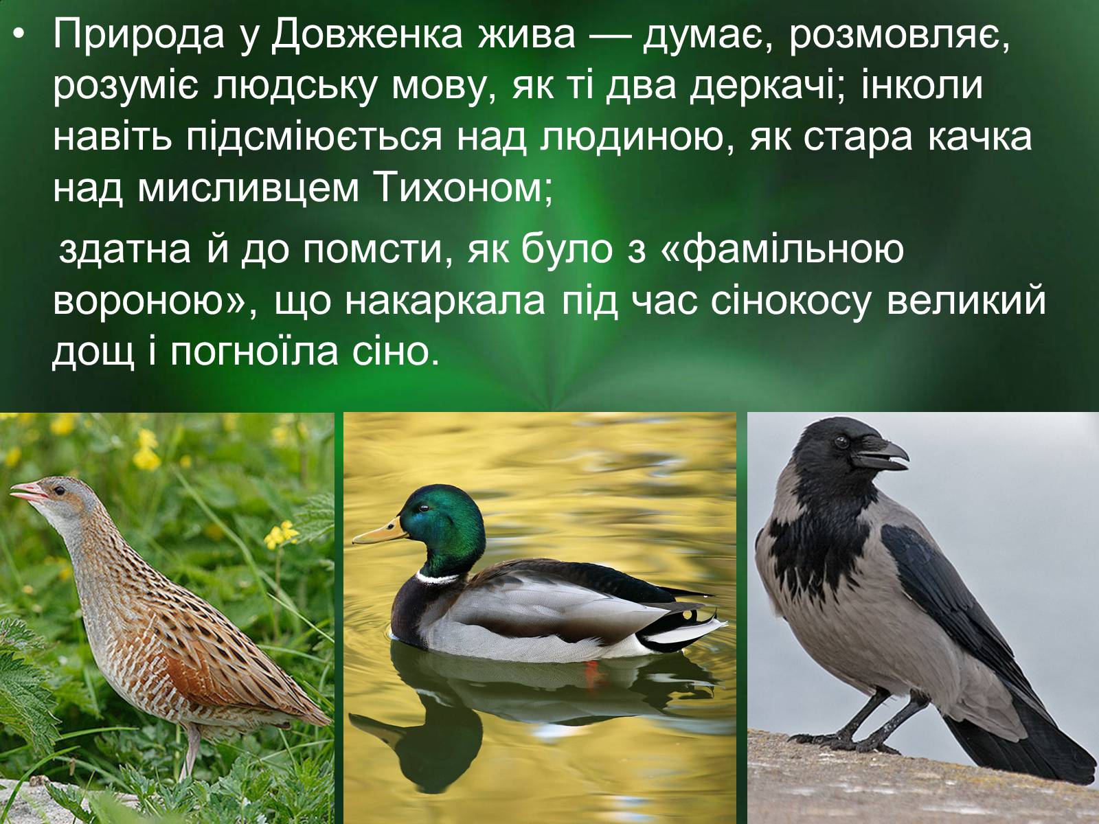 Презентація на тему «Роль природи в творі Зачарована десна» - Слайд #11 Презентація на тему «Роль природи в творі Зачарована десна» - Слайд #11