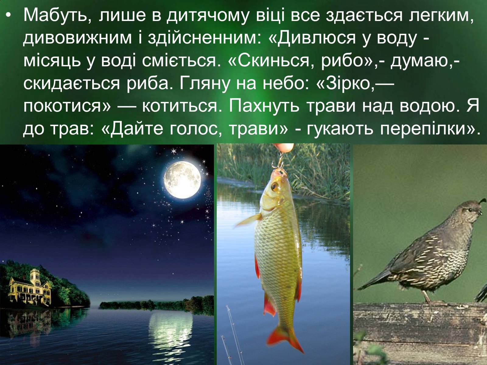 Презентація на тему «Роль природи в творі Зачарована десна» - Слайд #12 Презентація на тему «Роль природи в творі Зачарована десна» - Слайд #12
