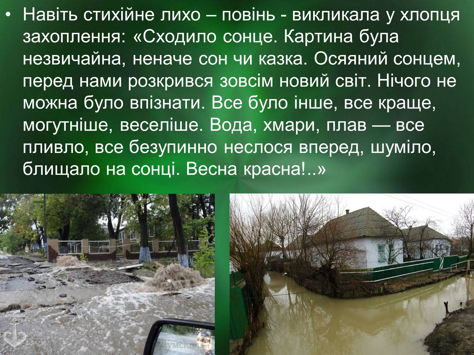 Презентація на тему «Роль природи в творі Зачарована десна» - Слайд #9 Презентація на тему «Роль природи в творі Зачарована десна» - Слайд #9