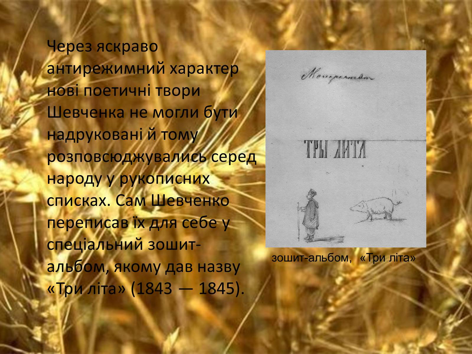 Презентація на тему «Тарас Григорович Шевченко. Період «трьох літ»» - Слайд #14 Презентація на тему «Тарас Григорович Шевченко. Період «трьох літ»» - Слайд #14