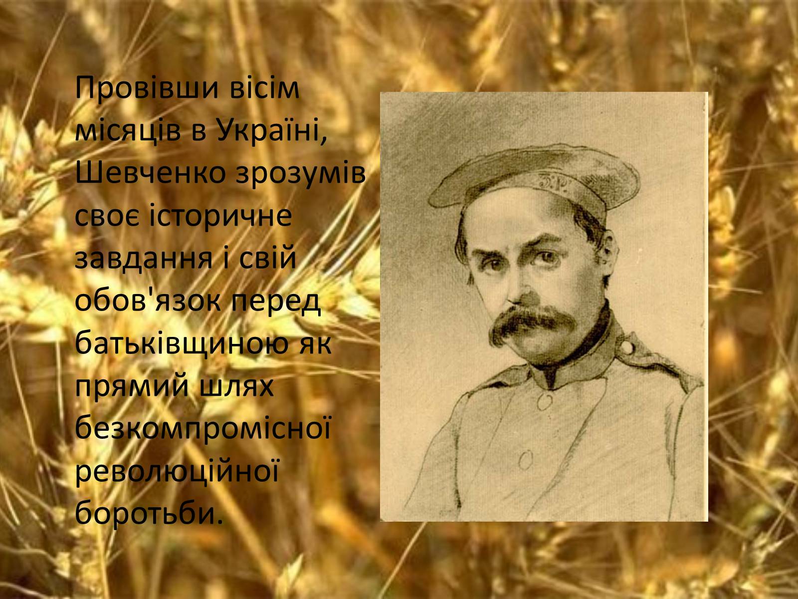 Презентація на тему «Тарас Григорович Шевченко. Період «трьох літ»» - Слайд #8 Презентація на тему «Тарас Григорович Шевченко. Період «трьох літ»» - Слайд #8