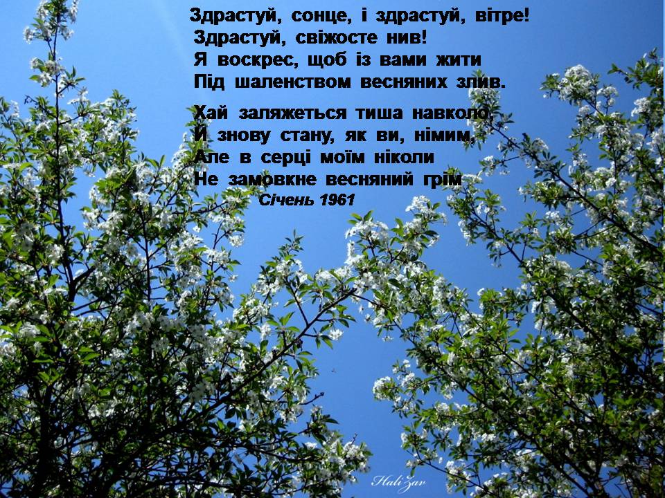 Презентація на тему «Василь Симоненко» (варіант 19) - Слайд #12 Презентація на тему «Василь Симоненко» (варіант 19) - Слайд #12