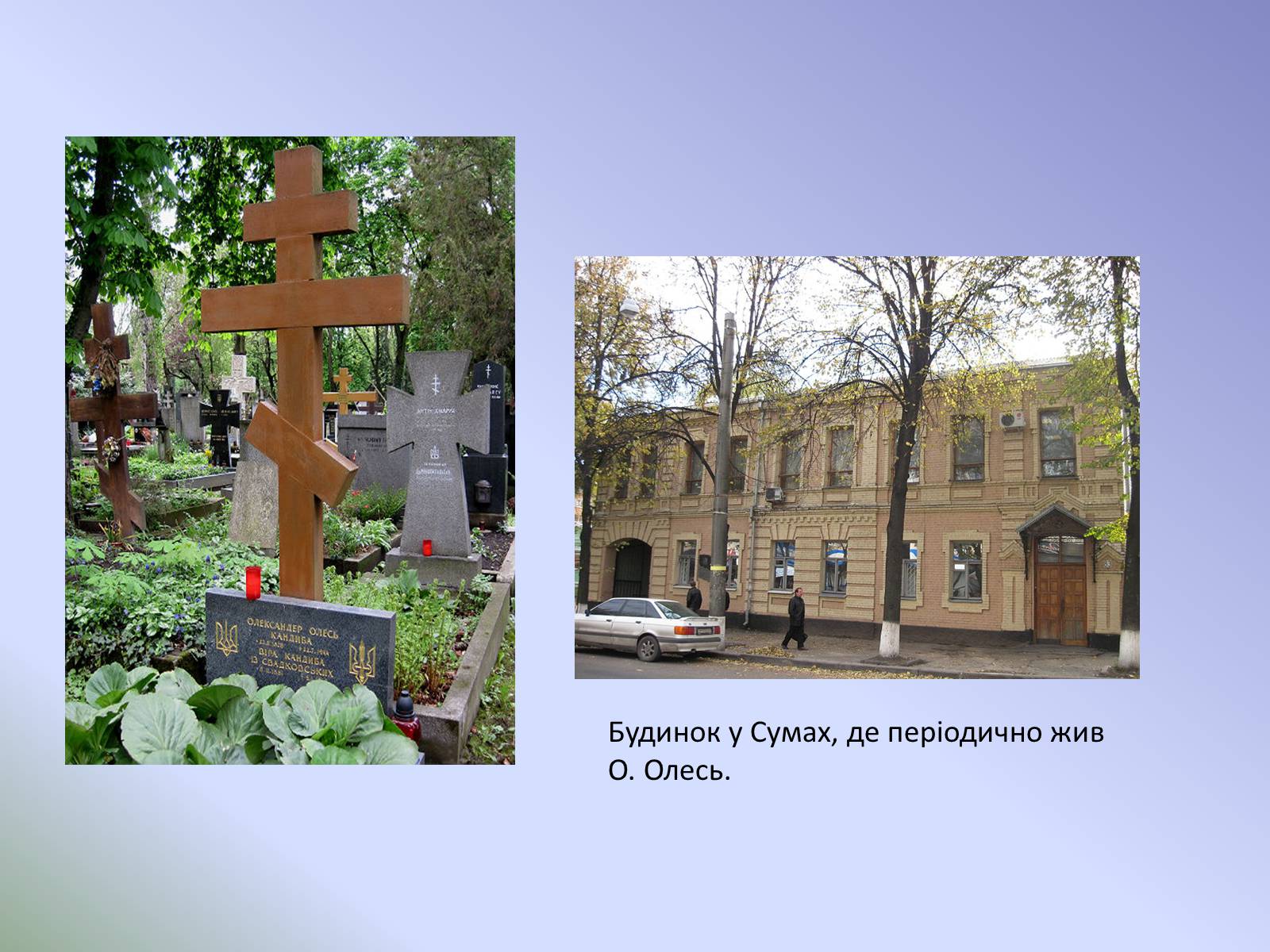 Презентація на тему «Розвиток української літератури на початку ХХ ст» - Слайд #8 Презентація на тему «Розвиток української літератури на початку ХХ ст» - Слайд #8