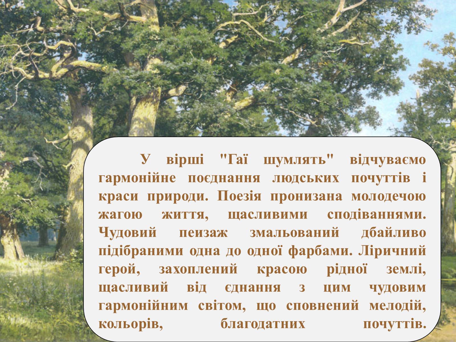 Презентація на тему «Сонячні кларнети» - Слайд #4 Презентація на тему «Сонячні кларнети» - Слайд #4
