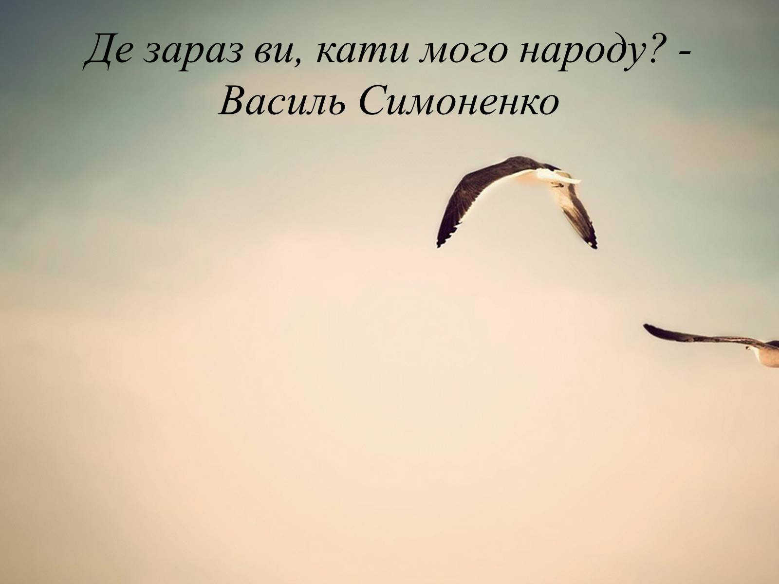 Презентація на тему «Василь Андрійович Симоненко» (варіант 2) - Слайд #14 Презентація на тему «Василь Андрійович Симоненко» (варіант 2) - Слайд #14