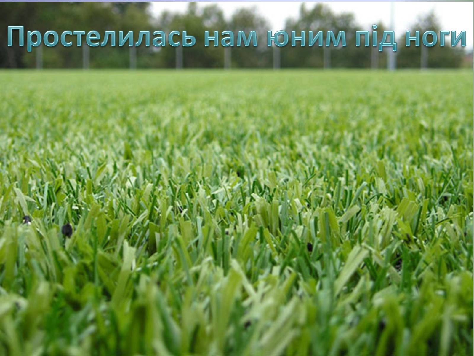 Презентація на тему «Богдан-Ігор Антонич» (варіант 6) - Слайд #6 Презентація на тему «Богдан-Ігор Антонич» (варіант 6) - Слайд #6