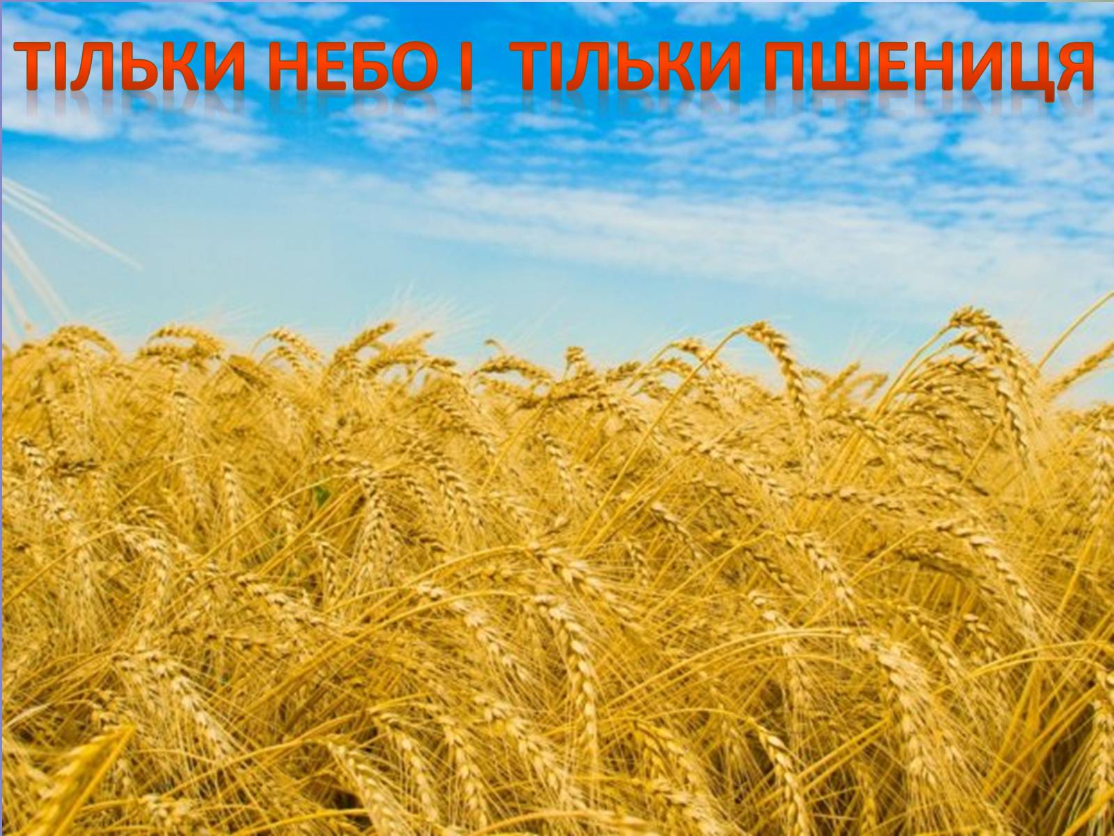 Презентація на тему «Богдан-Ігор Антонич» (варіант 6) - Слайд #7 Презентація на тему «Богдан-Ігор Антонич» (варіант 6) - Слайд #7