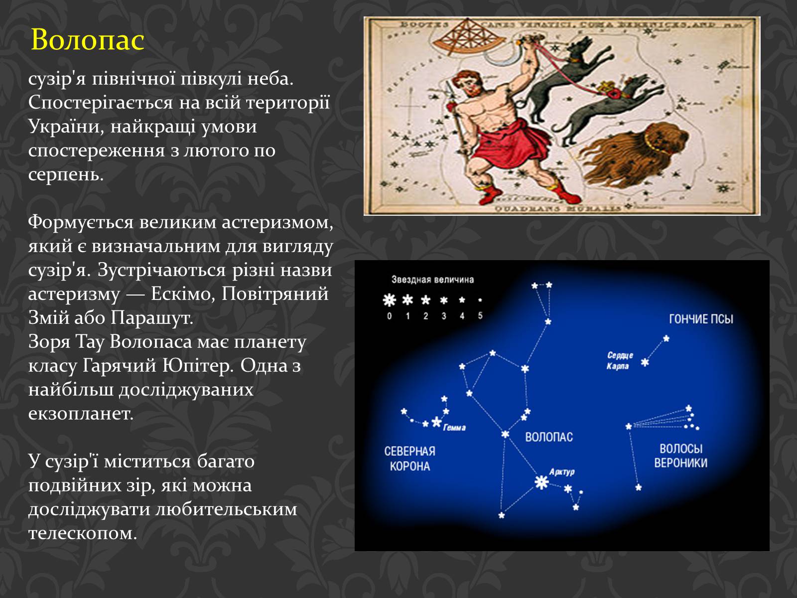 Презентація на тему «Сузір’я» (варіант 6) - Слайд #14 Презентація на тему «Сузір’я» (варіант 6) - Слайд #14