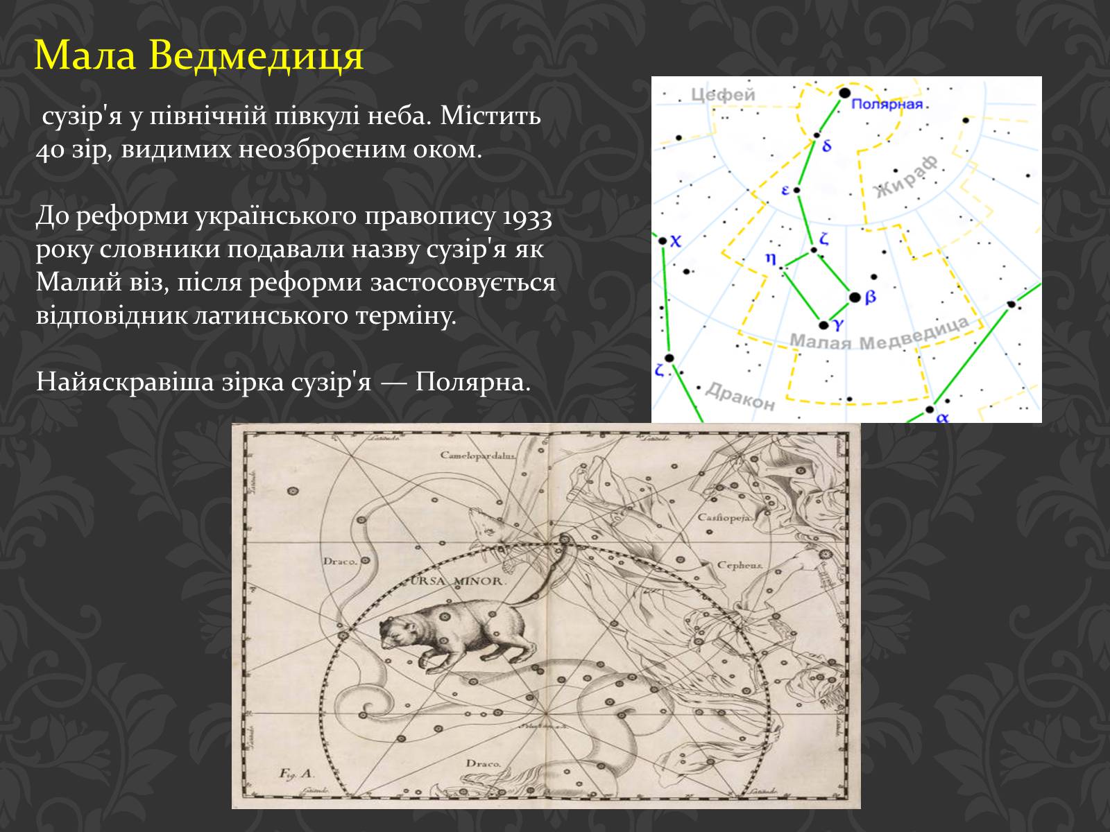 Презентація на тему «Сузір’я» (варіант 6) - Слайд #48 Презентація на тему «Сузір’я» (варіант 6) - Слайд #48