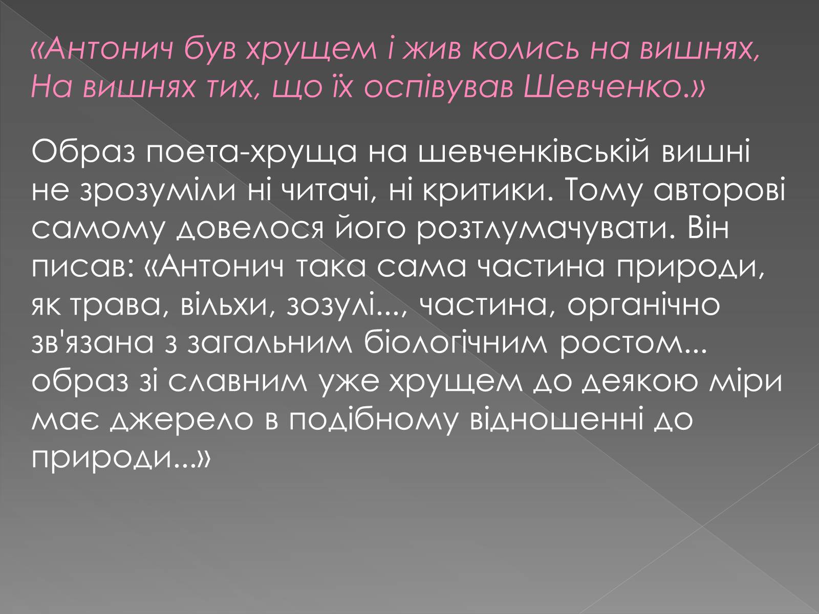 Презентація на тему «Вишні» - Слайд #4 Презентація на тему «Вишні» - Слайд #4