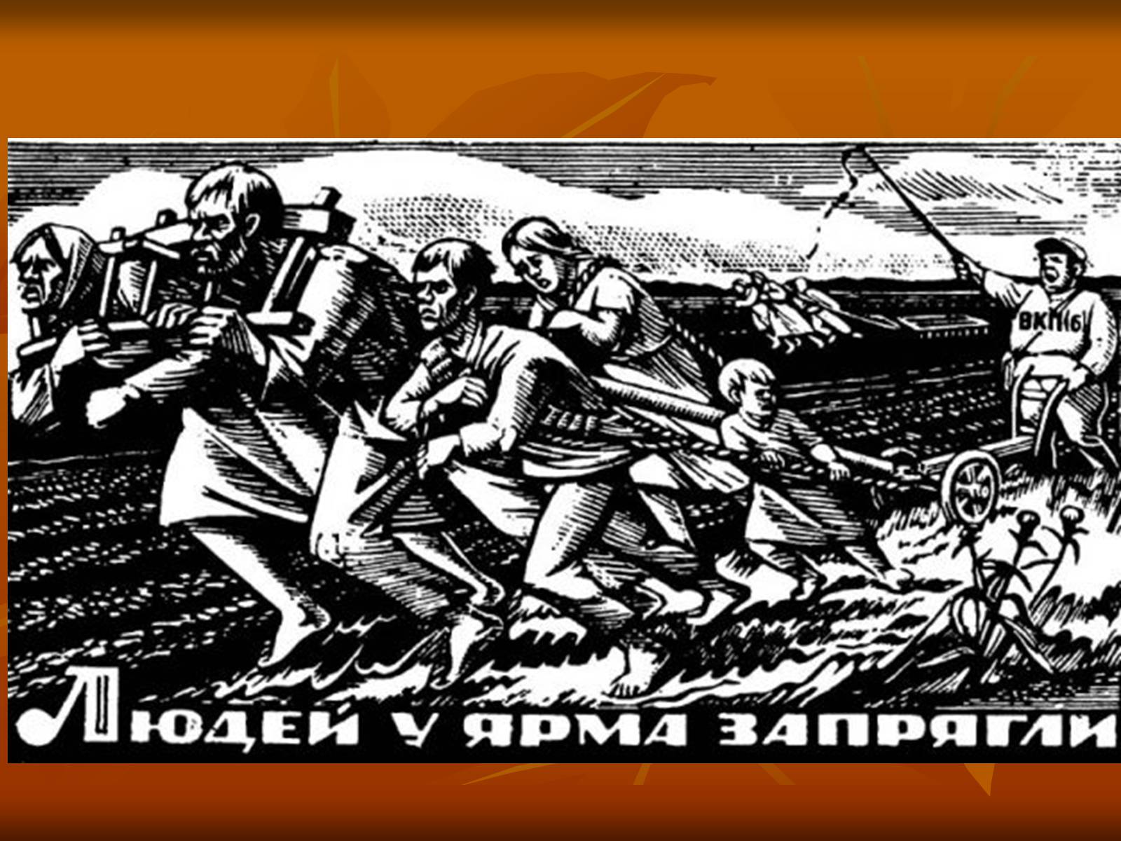 Презентація на тему «Ніл Хасевич» - Слайд #15 Презентація на тему «Ніл Хасевич» - Слайд #15
