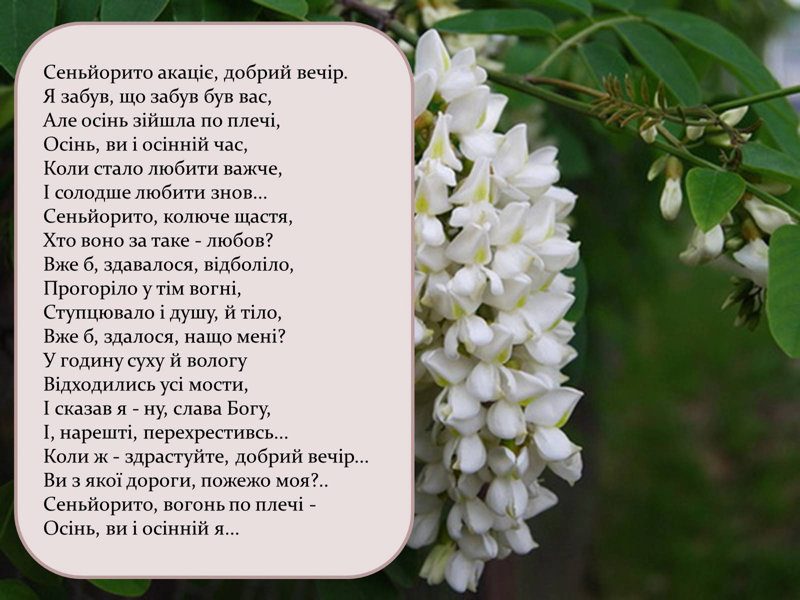 Презентація на тему «Микола Степанович Вінграновський» - Слайд #8 Презентація на тему «Микола Степанович Вінграновський» - Слайд #8