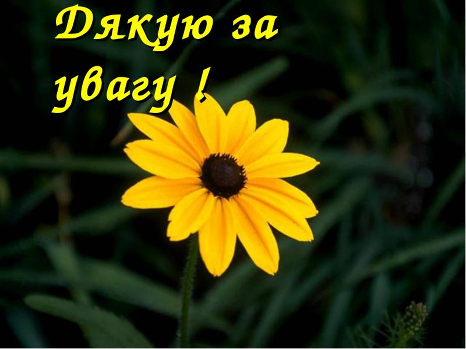 Презентація на тему «Підмогильний Валер’ян Петрович» (варіант 2) - Слайд #15 Презентація на тему «Підмогильний Валер’ян Петрович» (варіант 2) - Слайд #15