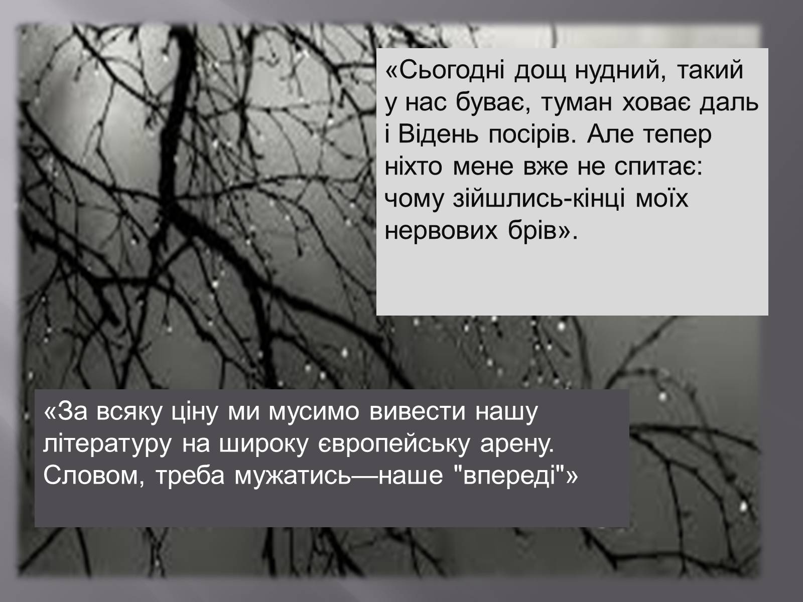 Презентація на тему «Хвильовий» (варіант 1) - Слайд #9 Презентація на тему «Хвильовий» (варіант 1) - Слайд #9