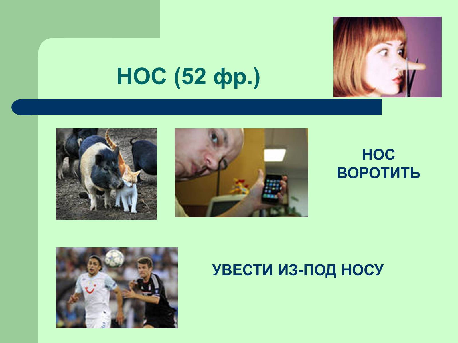 Презентація на тему «Фразеологізми» (варіант 3) - Слайд #11 Презентація на тему «Фразеологізми» (варіант 3) - Слайд #11