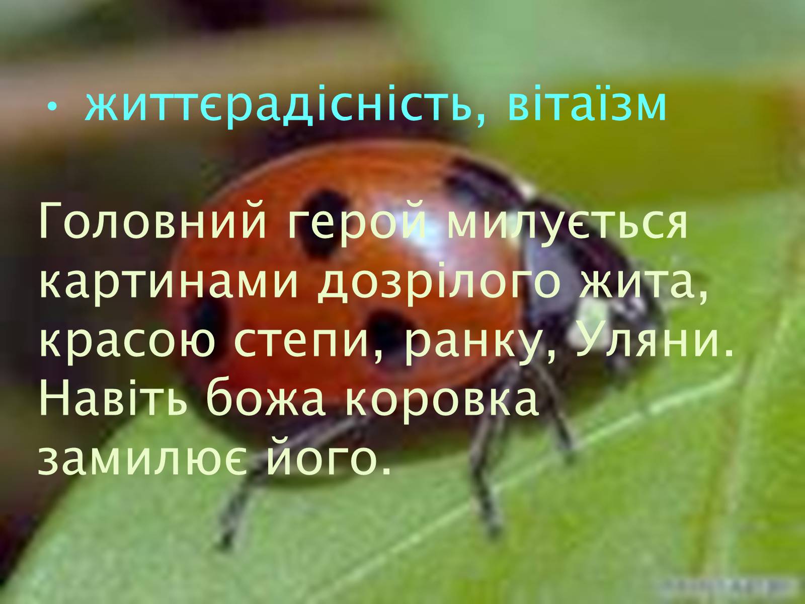Презентація на тему «Риси імпресіонізму у новелі Г. Косинки «В житах»» - Слайд #9
