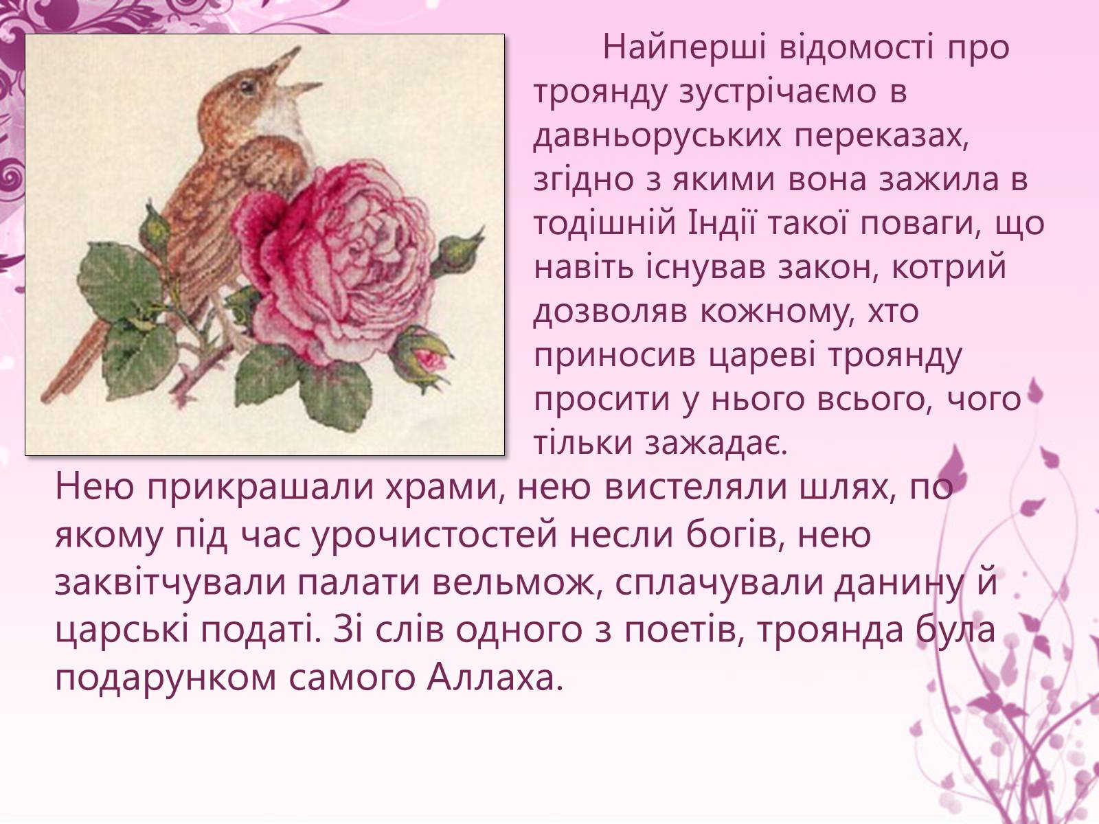 Презентація на тему «Образ троянди в усній народній творчості» - Слайд #6 Презентація на тему «Образ троянди в усній народній творчості» - Слайд #6