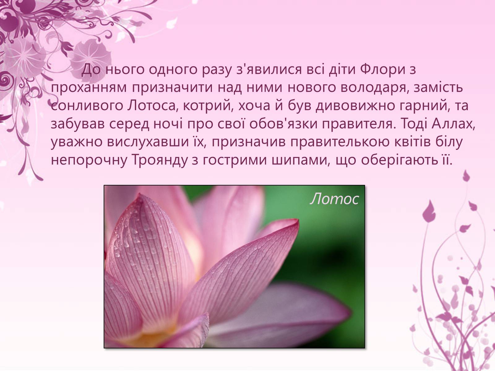 Презентація на тему «Образ троянди в усній народній творчості» - Слайд #7 Презентація на тему «Образ троянди в усній народній творчості» - Слайд #7