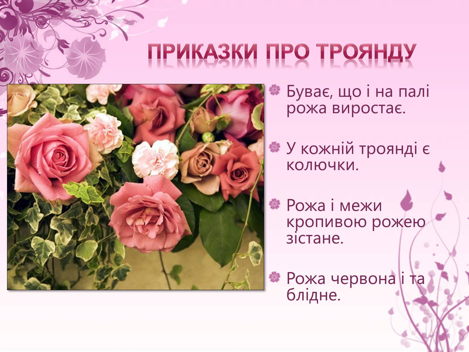 Презентація на тему «Образ троянди в усній народній творчості» - Слайд #9 Презентація на тему «Образ троянди в усній народній творчості» - Слайд #9