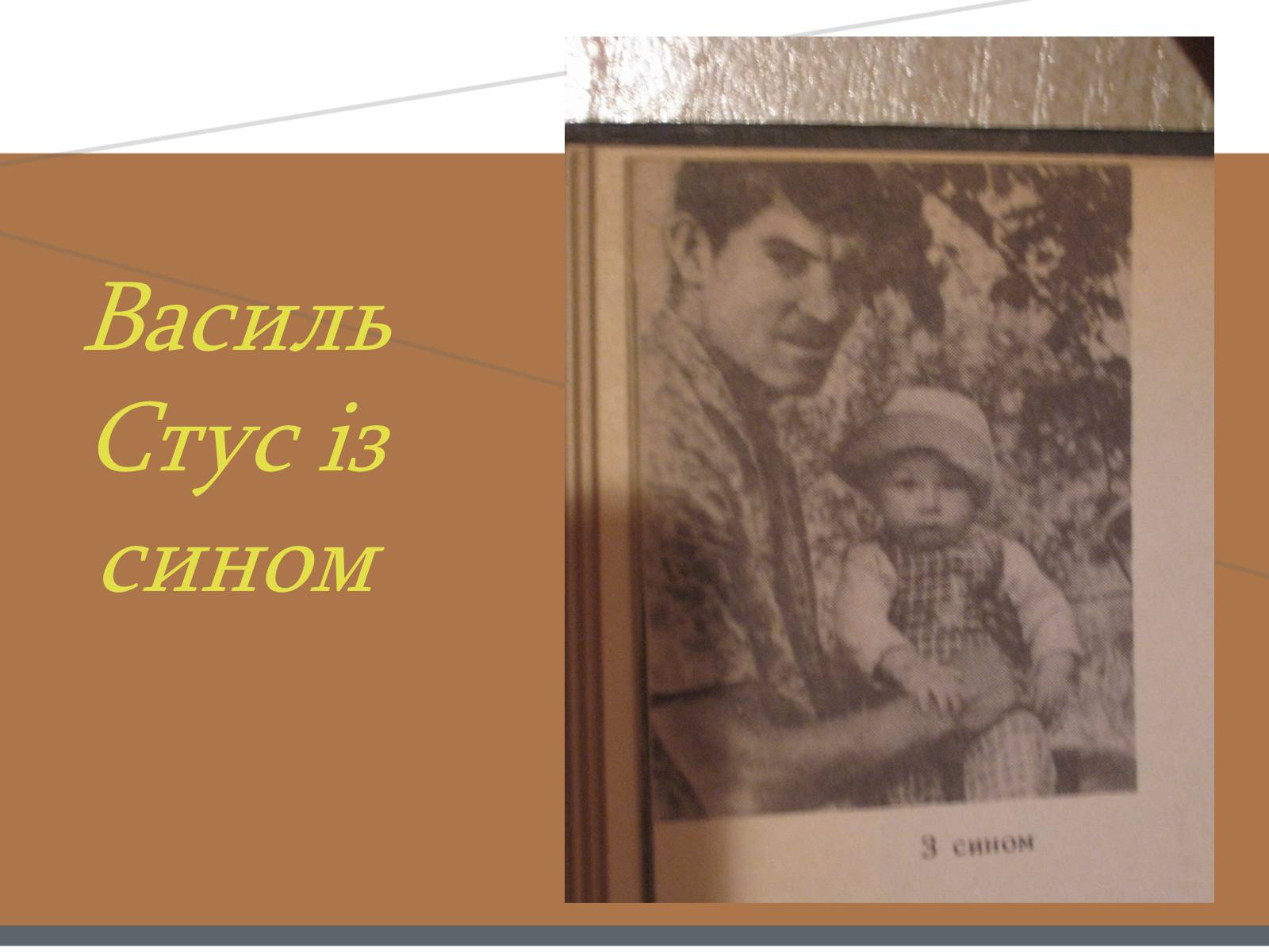 Презентація на тему «Василь Стус» (варіант 7) - Слайд #8 Презентація на тему «Василь Стус» (варіант 7) - Слайд #8