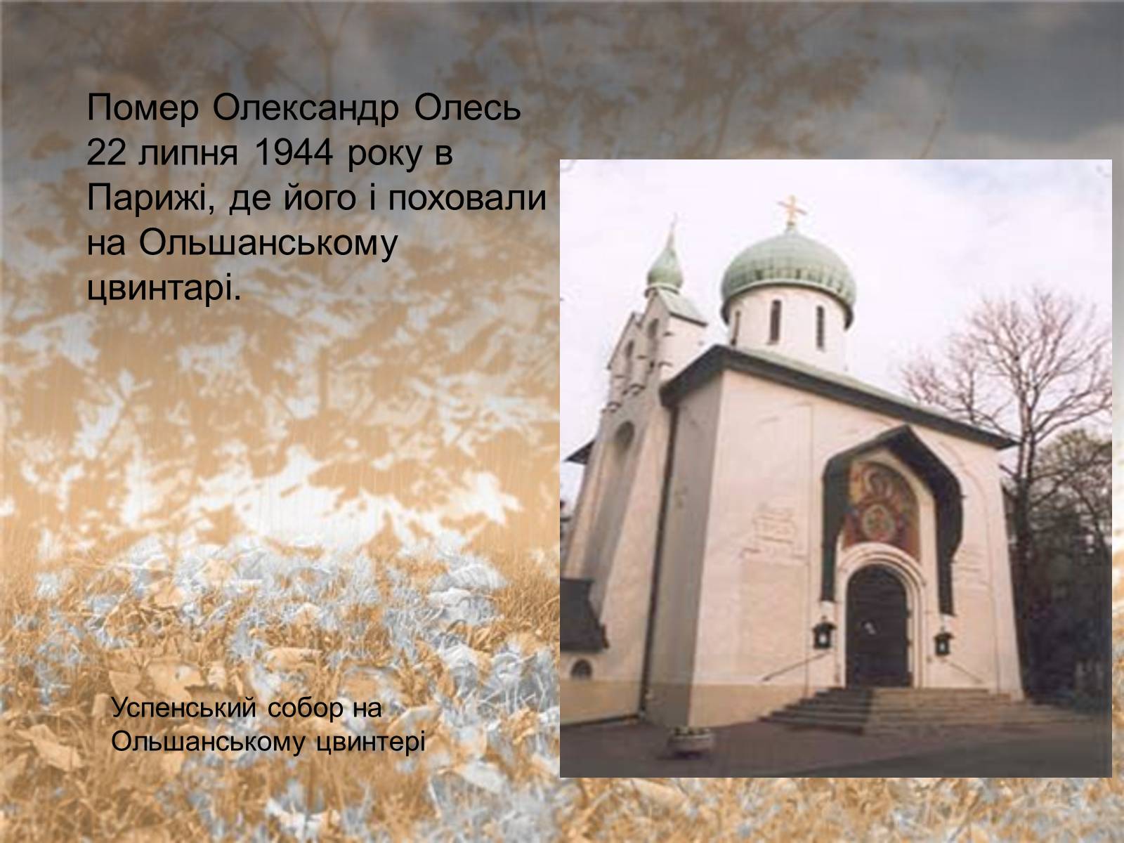 Презентація на тему «Олесь» - Слайд #21 Презентація на тему «Олесь» - Слайд #21