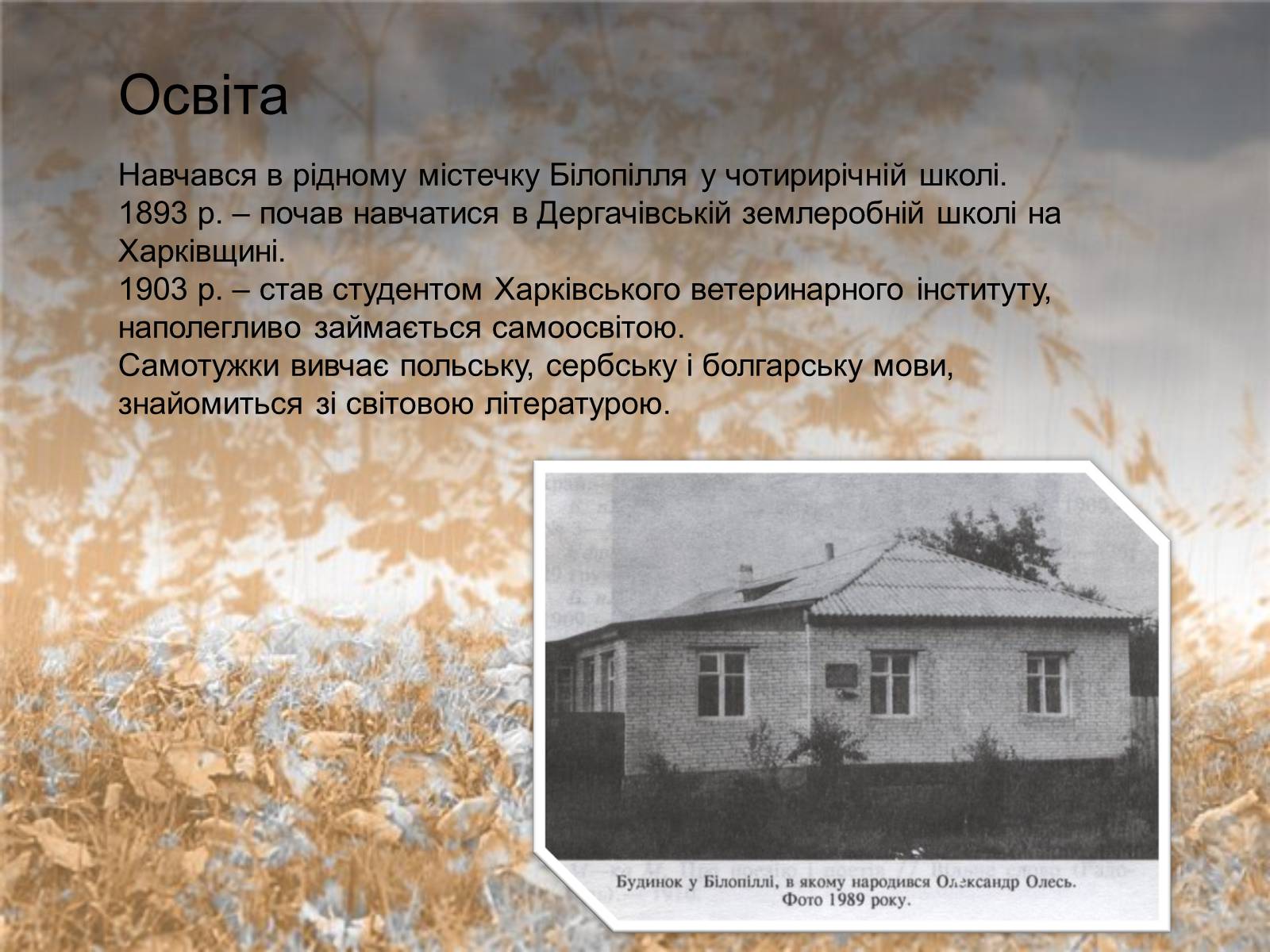 Презентація на тему «Олесь» - Слайд #6 Презентація на тему «Олесь» - Слайд #6