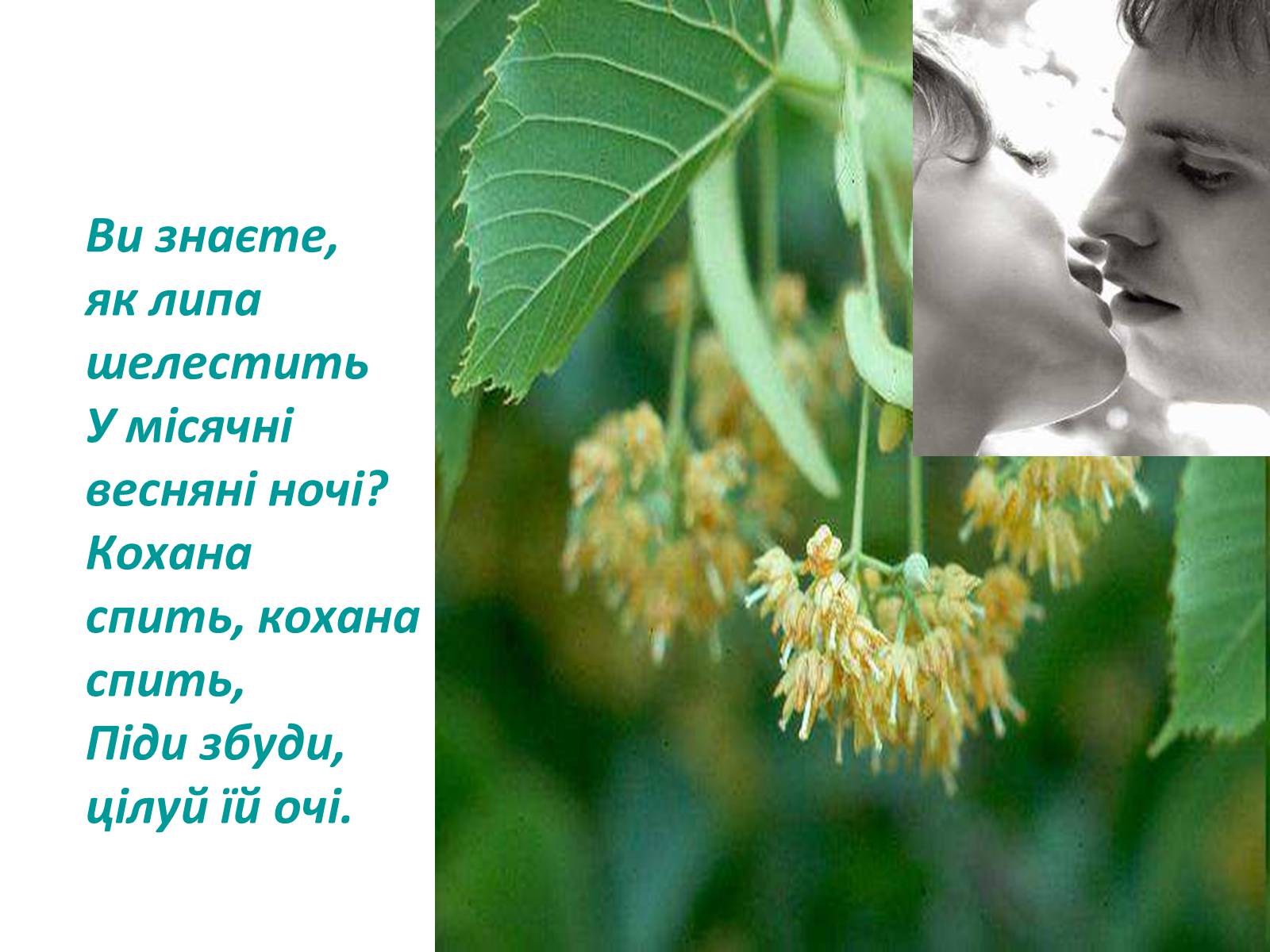 Презентація на тему «Павло Тичина» (варіант 1) - Слайд #5 Презентація на тему «Павло Тичина» (варіант 1) - Слайд #5