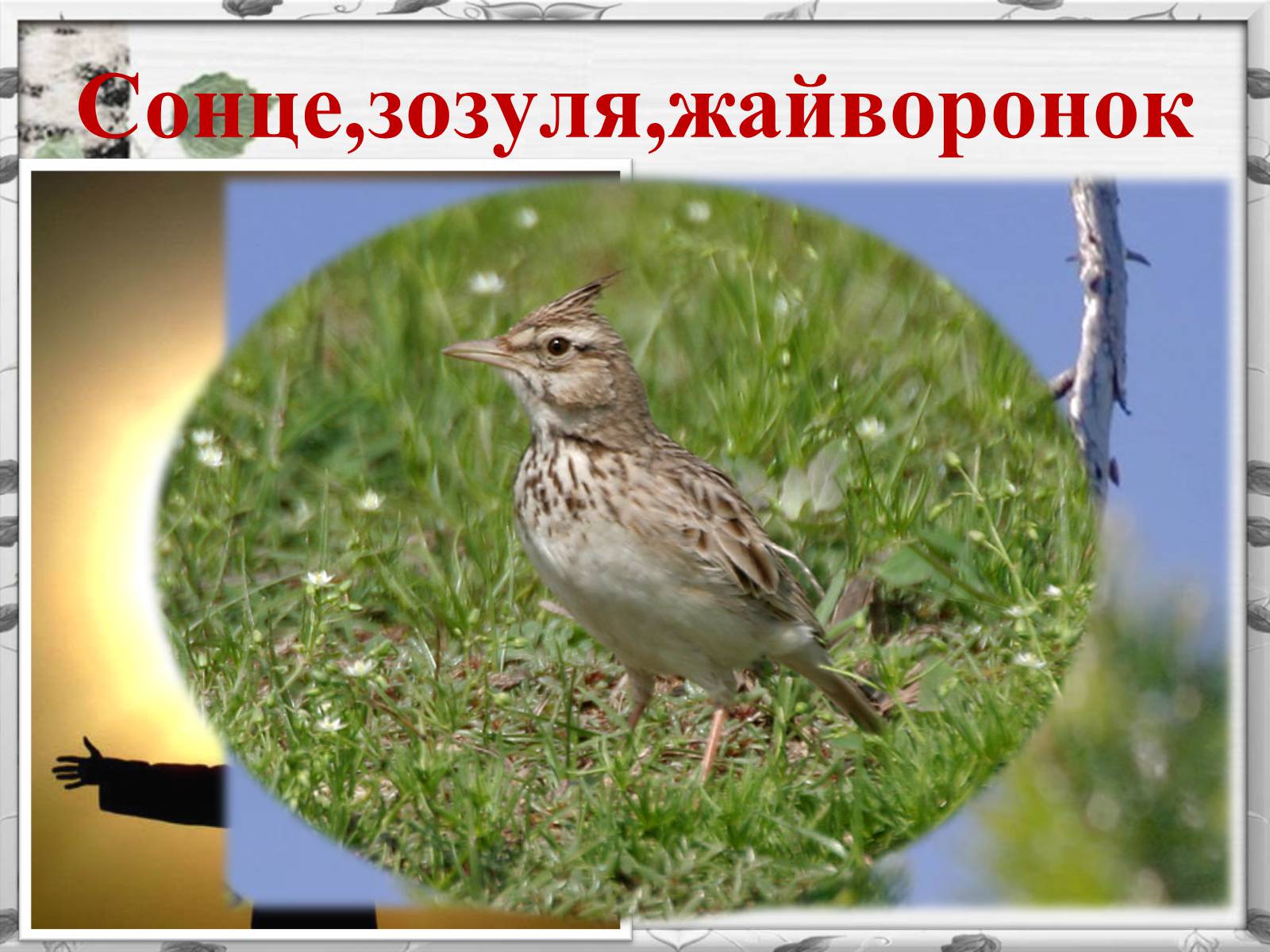 Презентація на тему «Михайло Михайлович Коцюбинський» (варіант 2) - Слайд #12 Презентація на тему «Михайло Михайлович Коцюбинський» (варіант 2) - Слайд #12