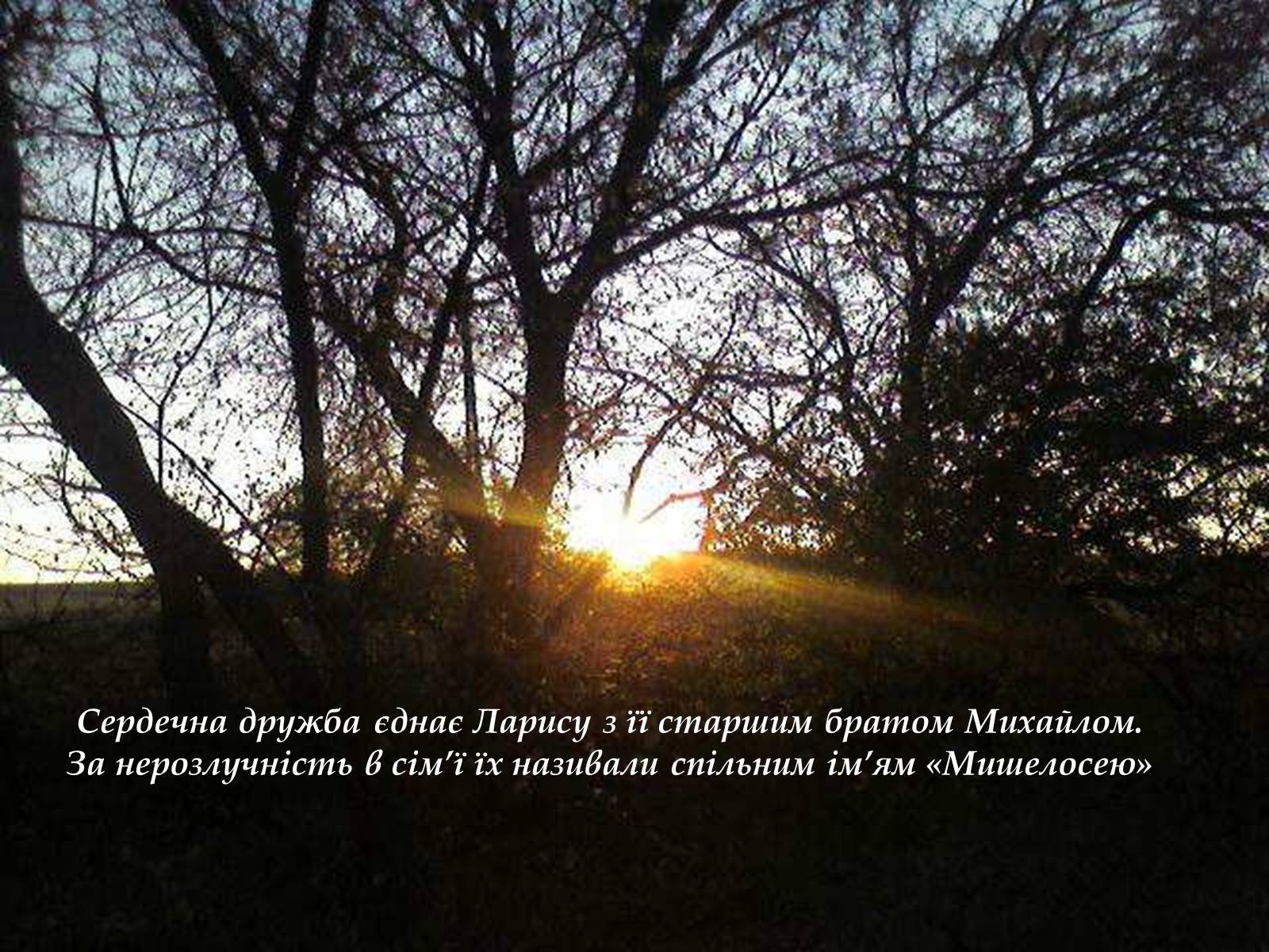 Презентація на тему «Лариса Петрівна Косач» (варіант 4) - Слайд #6 Презентація на тему «Лариса Петрівна Косач» (варіант 4) - Слайд #6