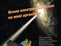 Презентація на тему «Вплив електричного поля на живі організми» (варіант 3)