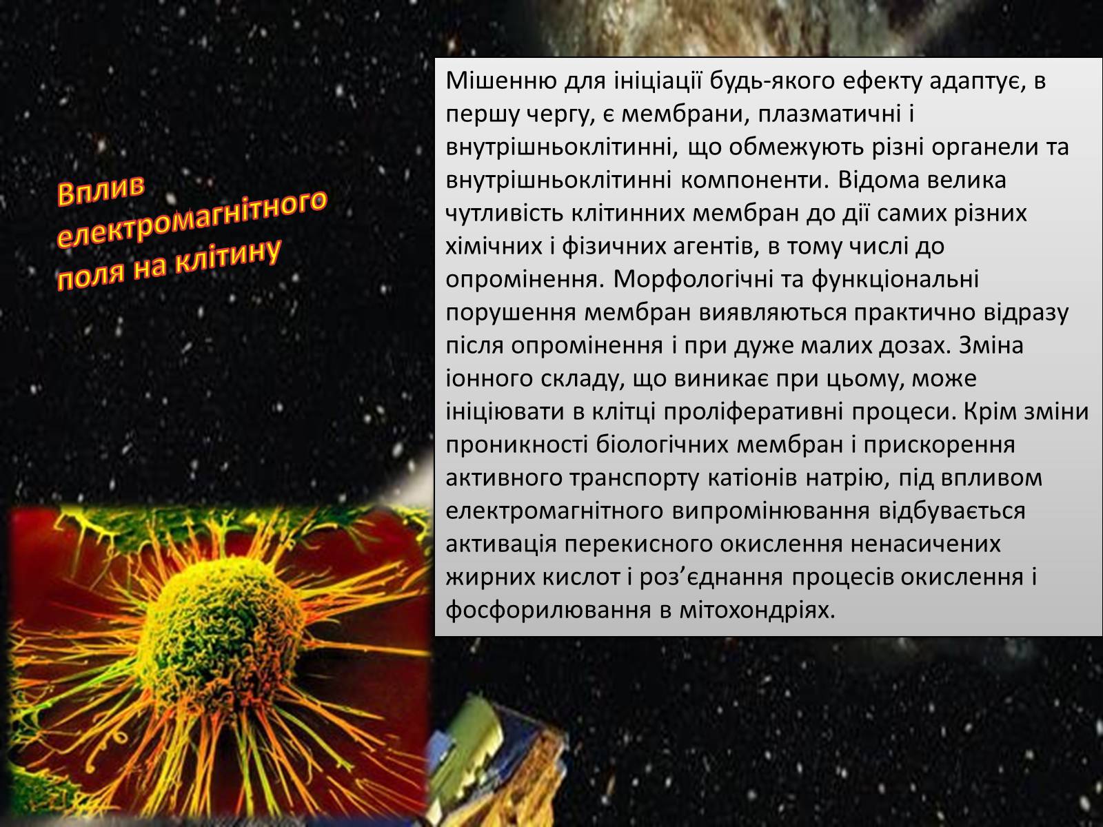 Презентація на тему «Вплив електричного поля на живі організми» (варіант 3) - Слайд #5 Презентація на тему «Вплив електричного поля на живі організми» (варіант 3) - Слайд #5