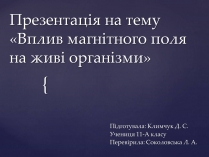 Презентація на тему «Вплив магнітного поля на живі організми» (варіант 2)
