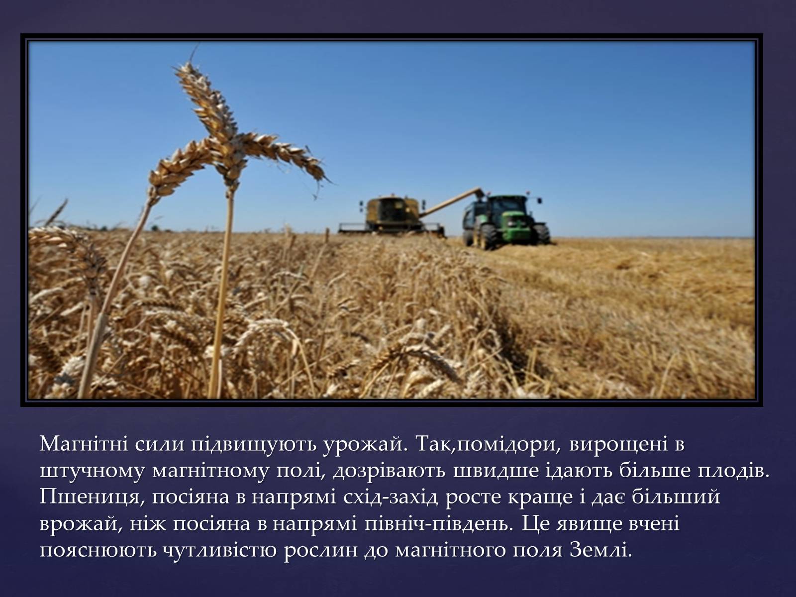 Презентація на тему «Вплив магнітного поля на живі організми» (варіант 2) - Слайд #5