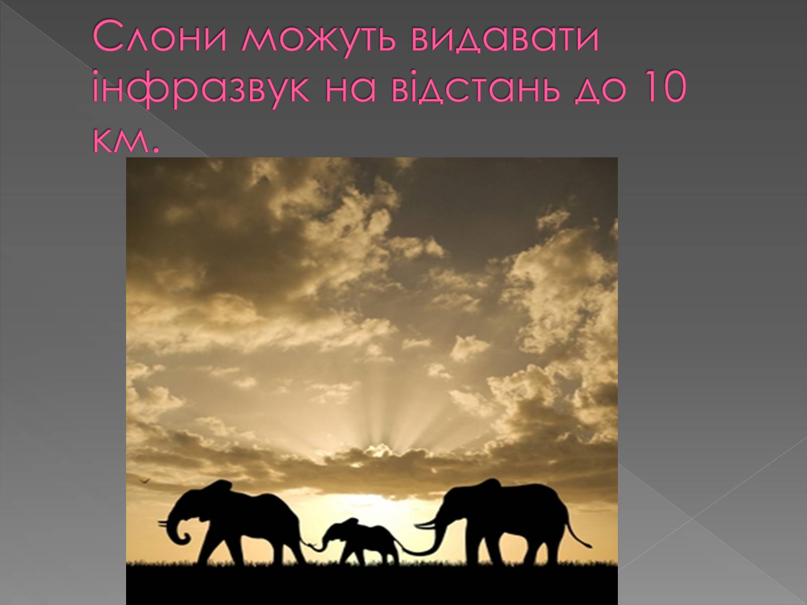 Презентація на тему «Використання інфра- та ультразвуків в житті людей» - Слайд #5 Презентація на тему «Використання інфра- та ультразвуків в житті людей» - Слайд #5