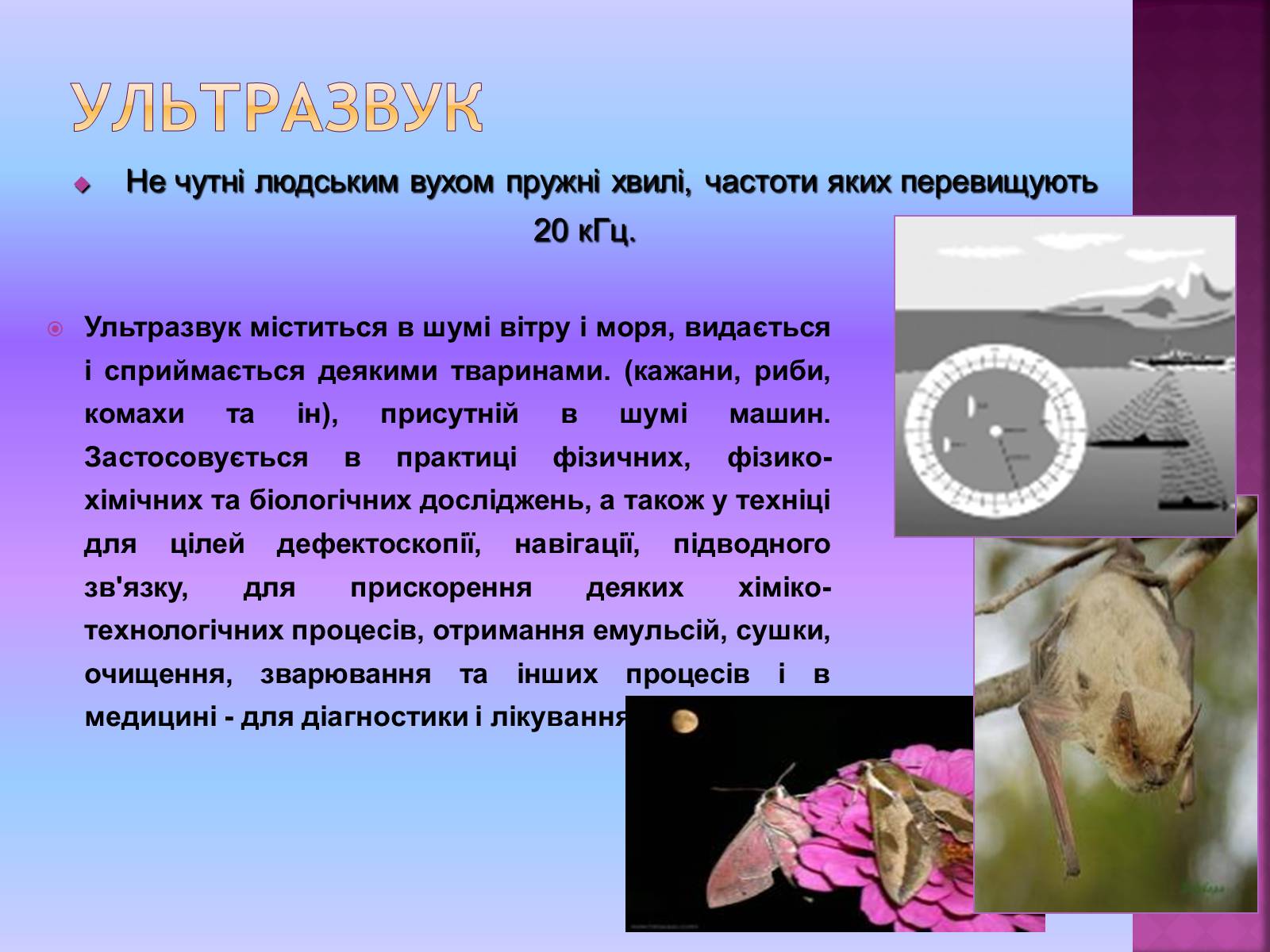 Презентація на тему «Ультразвук та інфразвук» (варіант 2) - Слайд #3 Презентація на тему «Ультразвук та інфразвук» (варіант 2) - Слайд #3